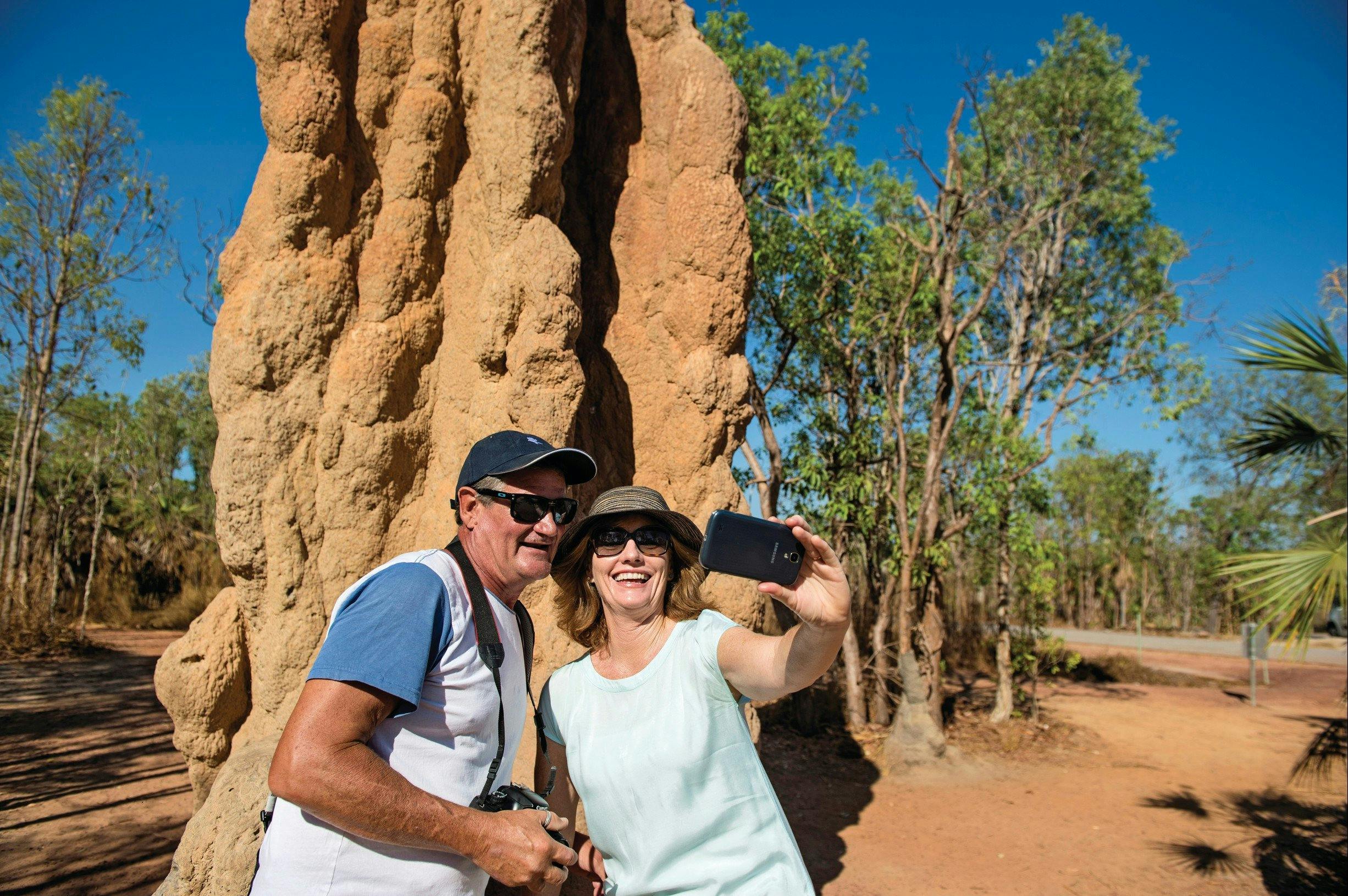 Magnetic Termite Mounds