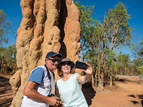 Magnificent Cathedral Termite Mounds