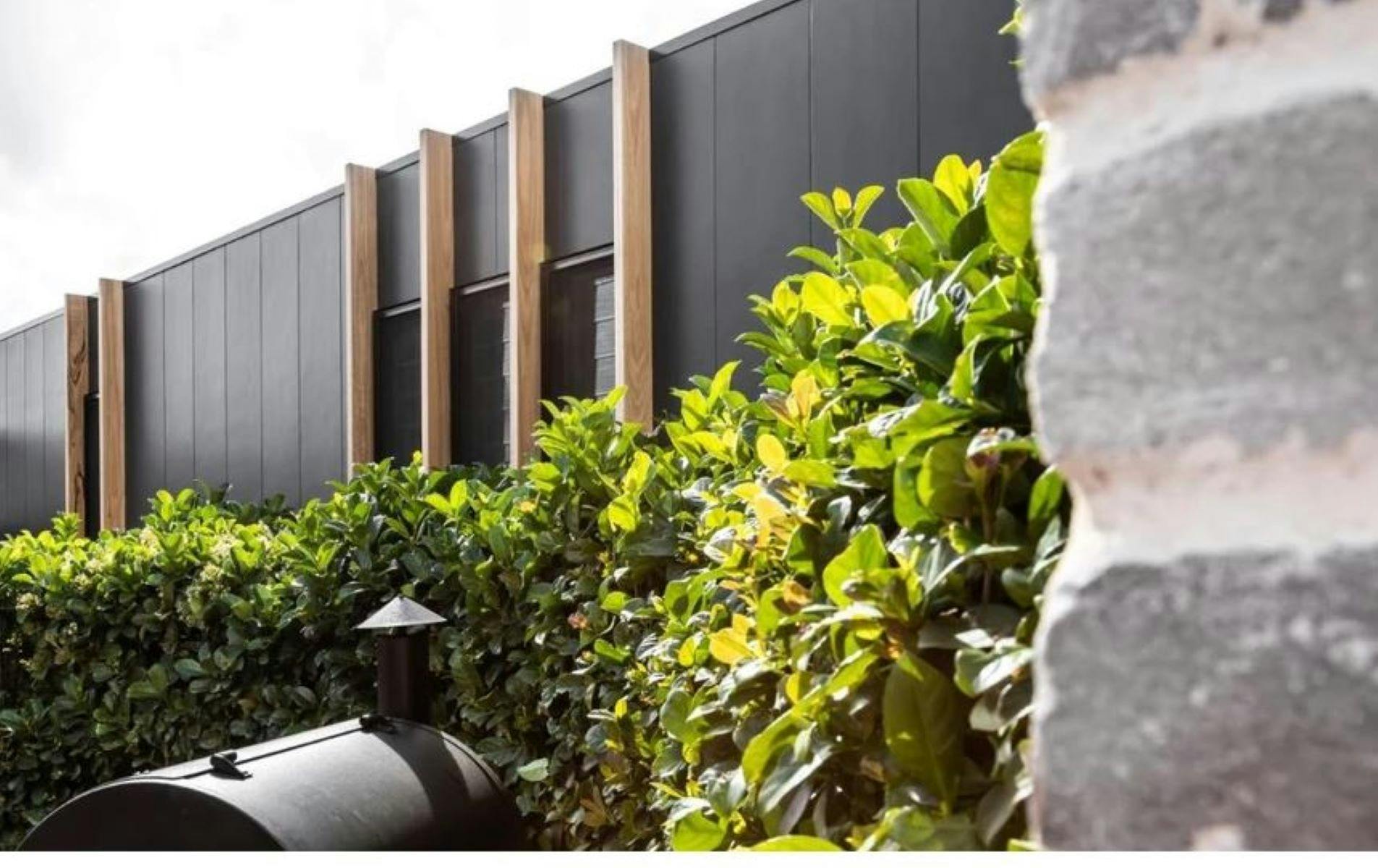 Studio on Park Accommodation