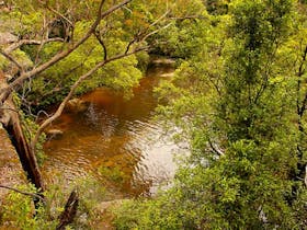 Girrakool loop track