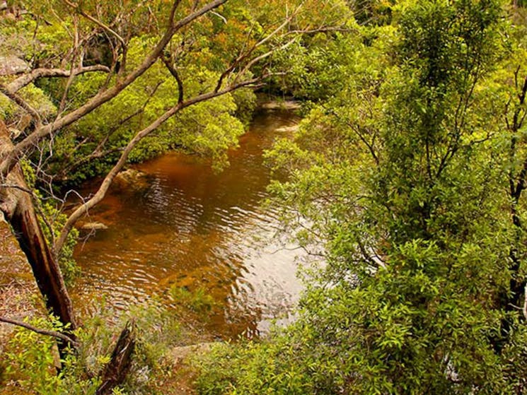 Girrakool loop track