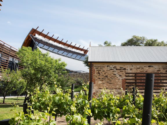 National Wine Centre Of Australia - Virtual Wine tasting