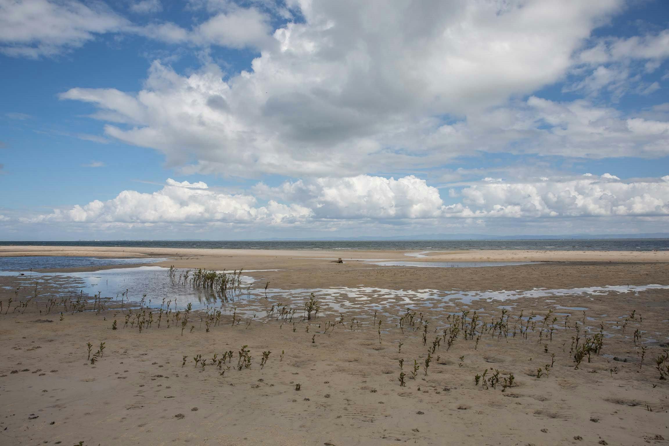 Low tide at Buckley's Hole Conservation Park