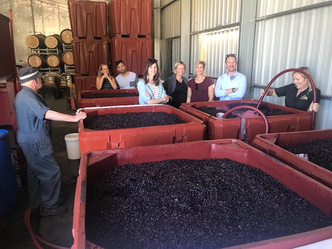 McLaren Vale Private or Small Group Tour