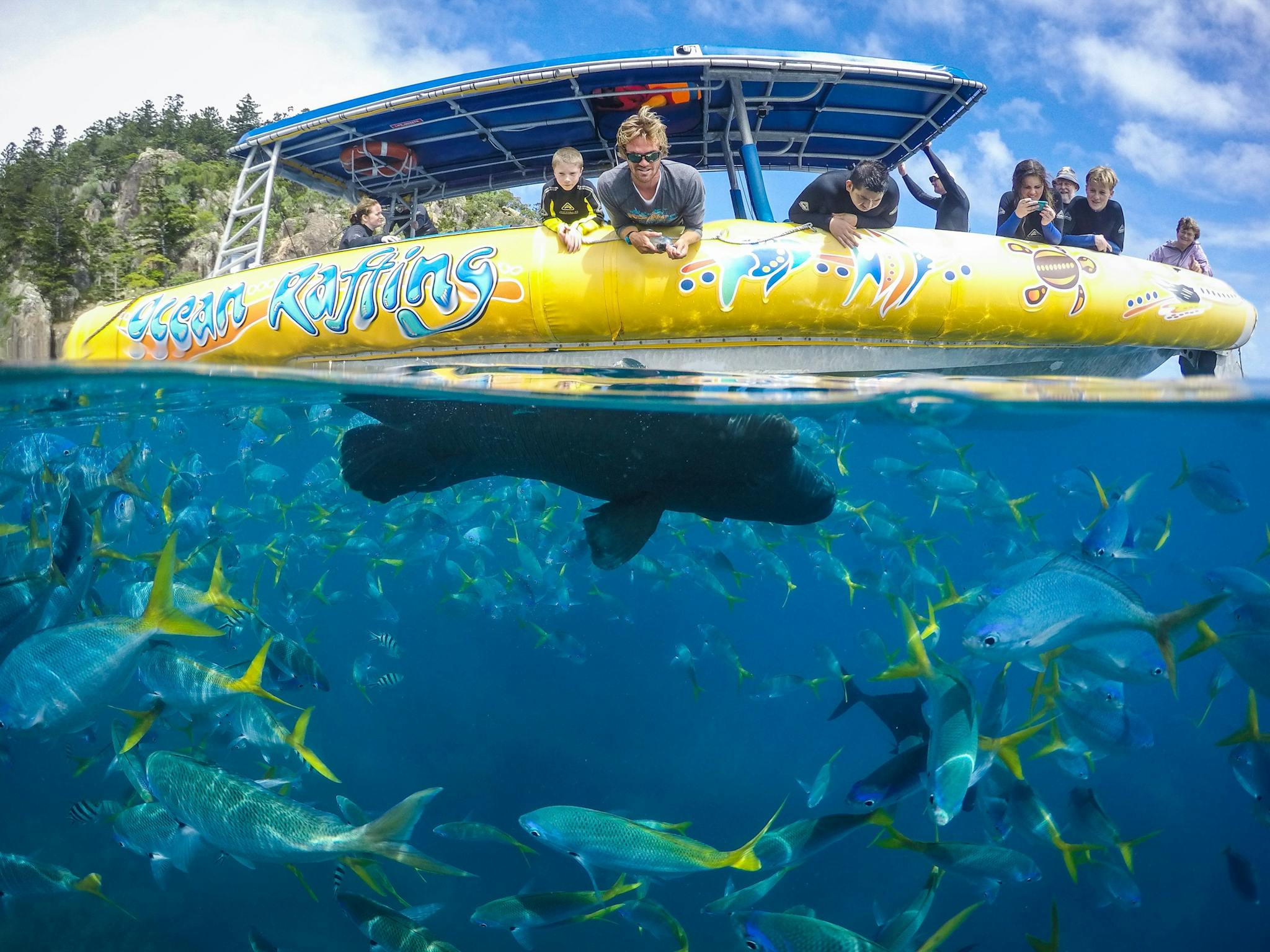 Get up close to the Reef Get up close to the Reef