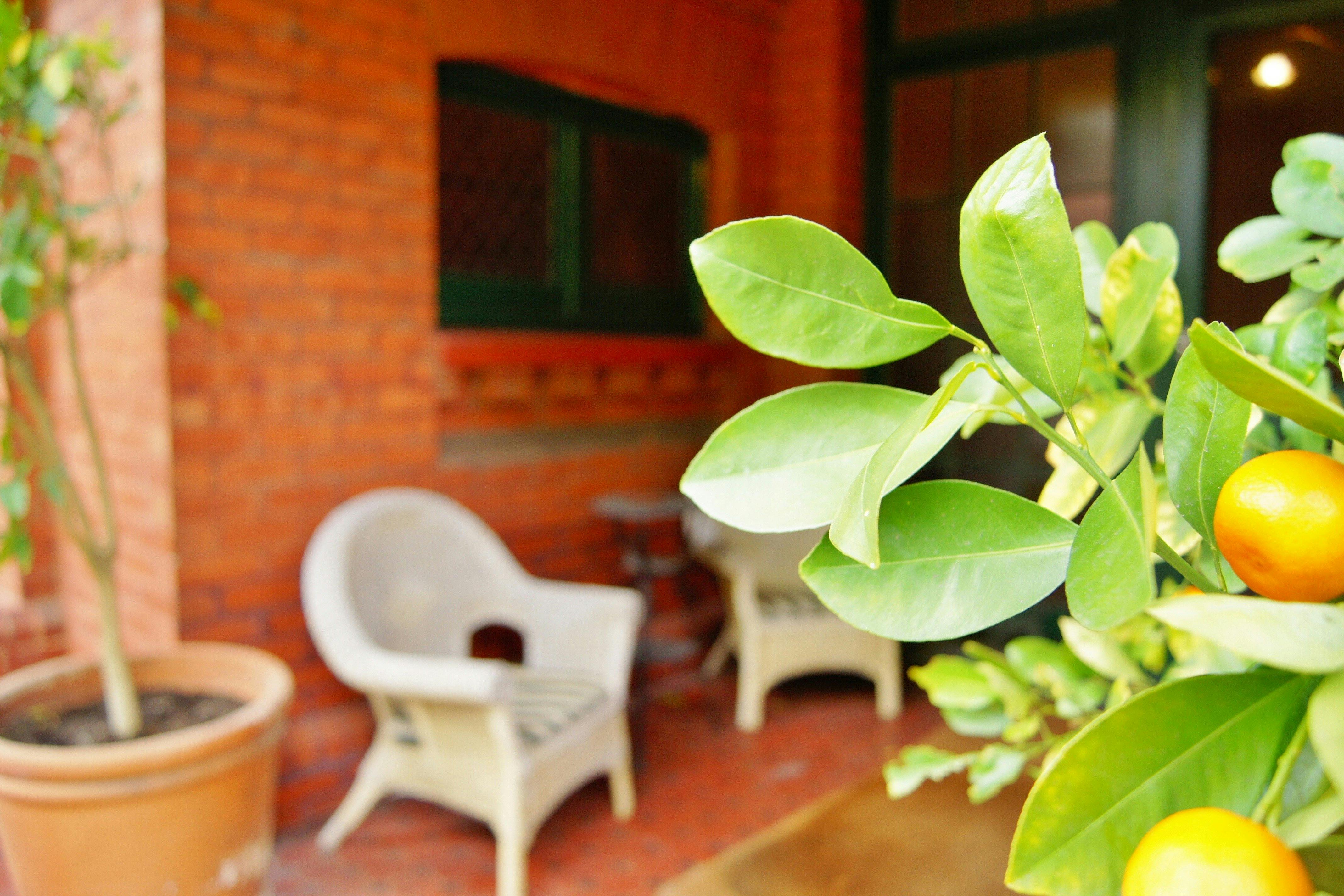 Experience Adelaide Buxton Manor Lowe Esquire Apartment