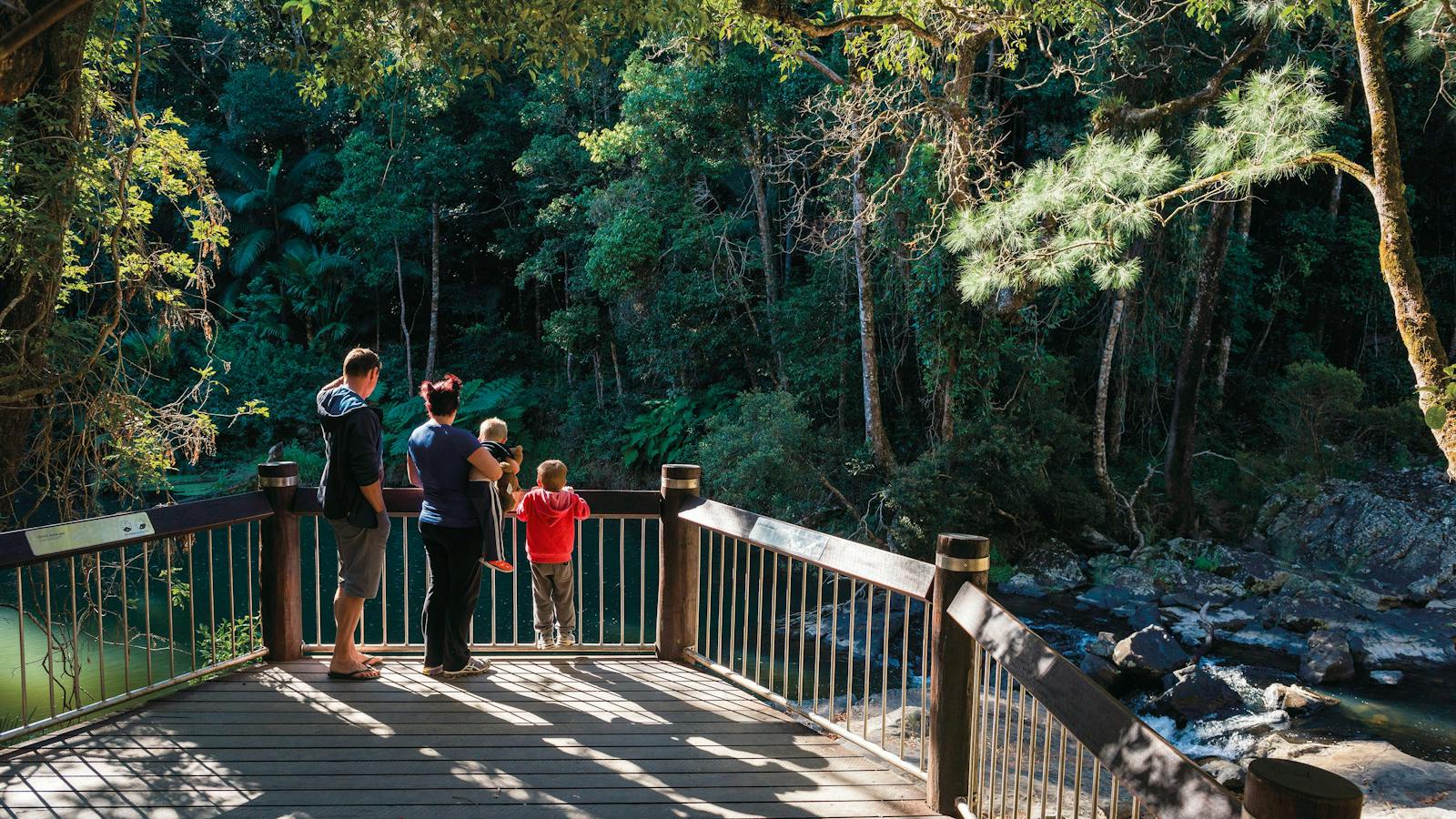 Spot a platypus from the Broken River viewing deck.
