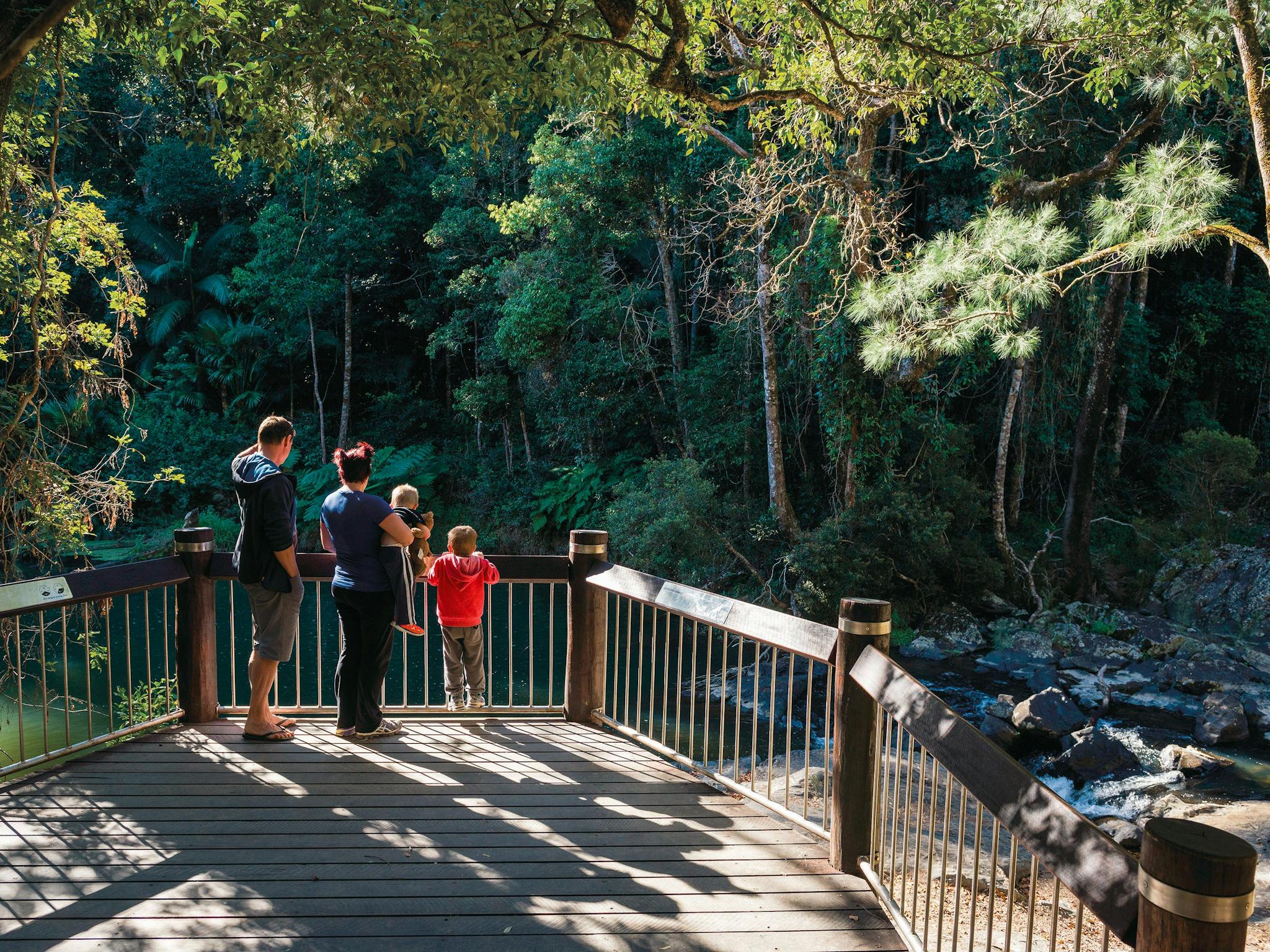Spot a platypus from the Broken River viewing deck.