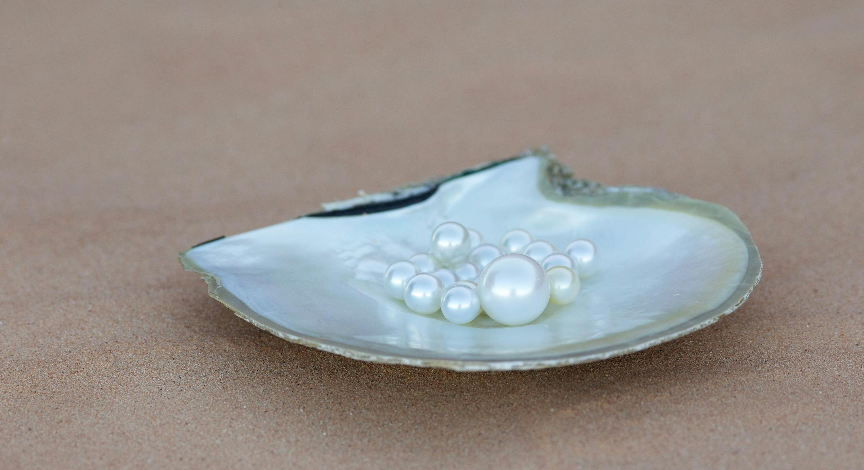 Pearl Shell