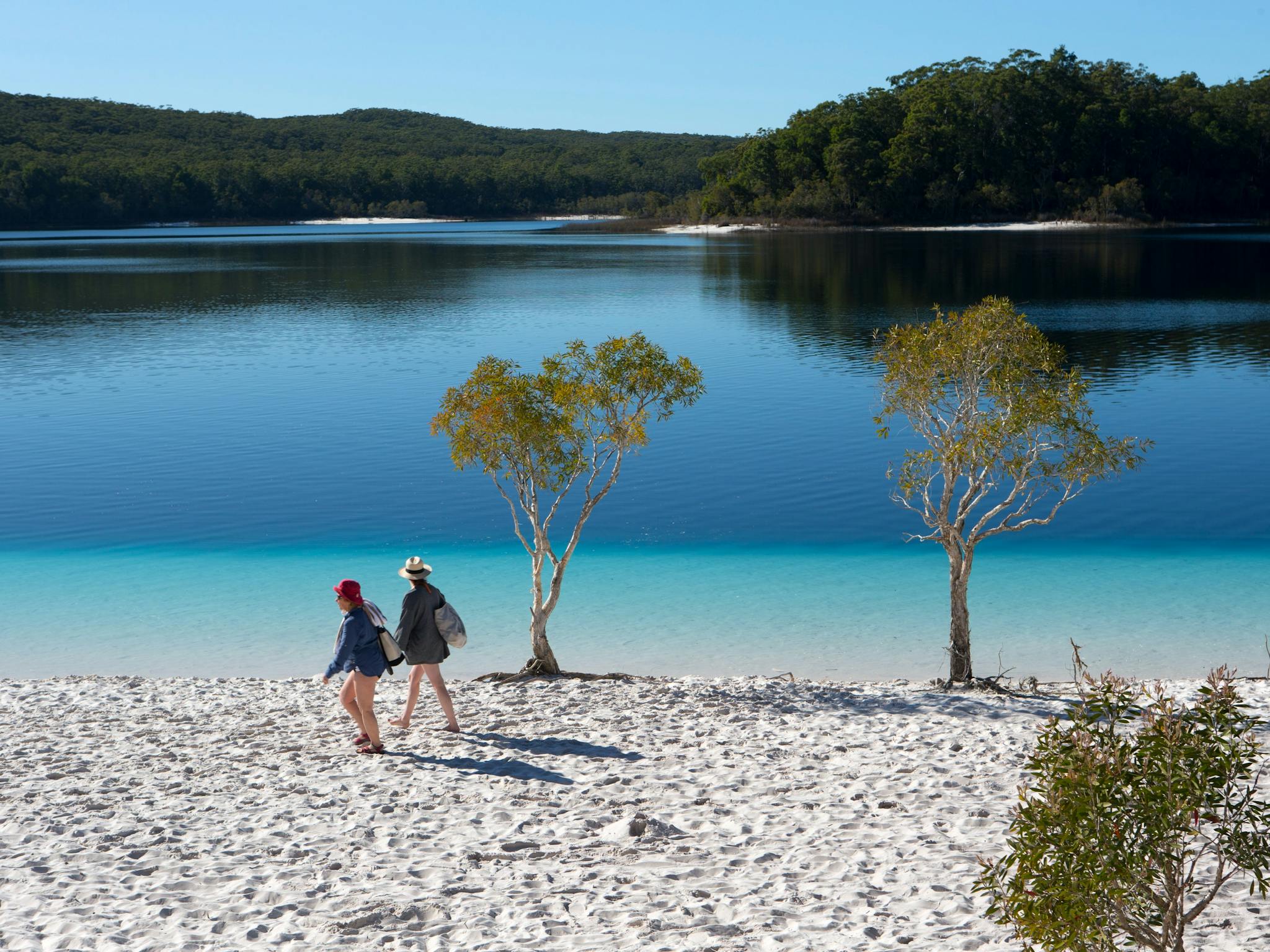 Great Walks - Lake McKenzie Great Walks - Lake McKenzie