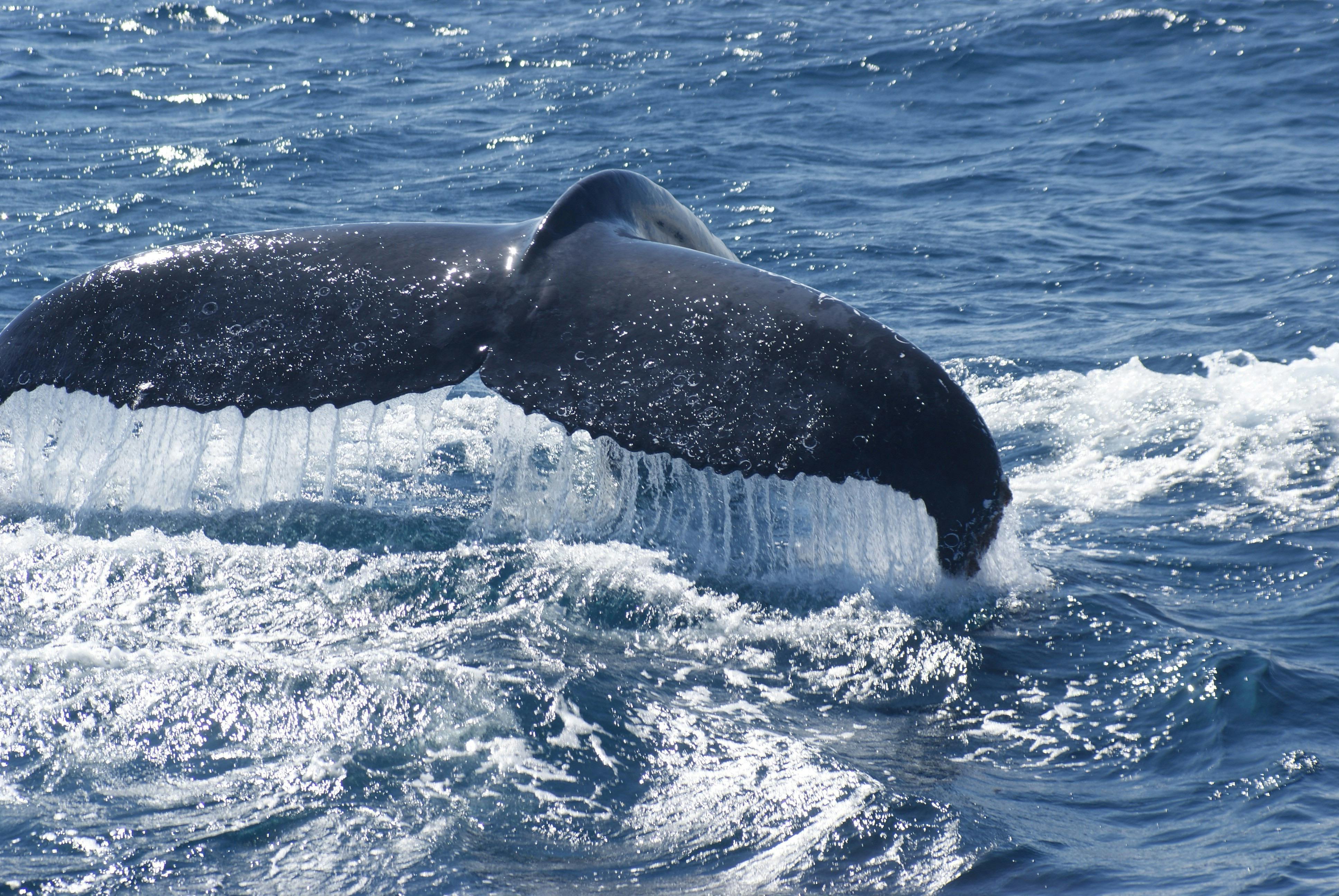 Reefwalker Charters, Kalbarri, Western Australia