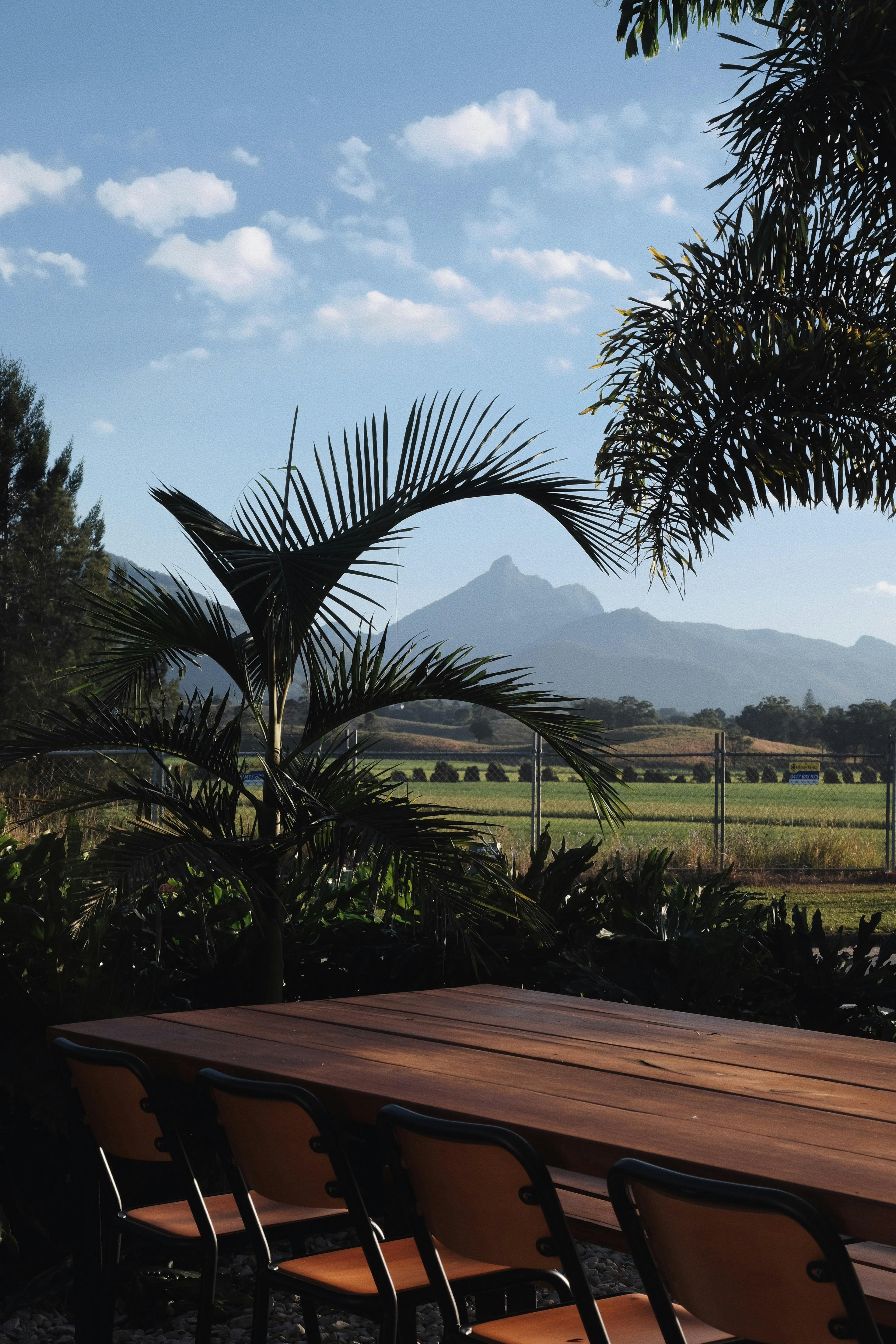 Wollumbin (Mt Warning) View