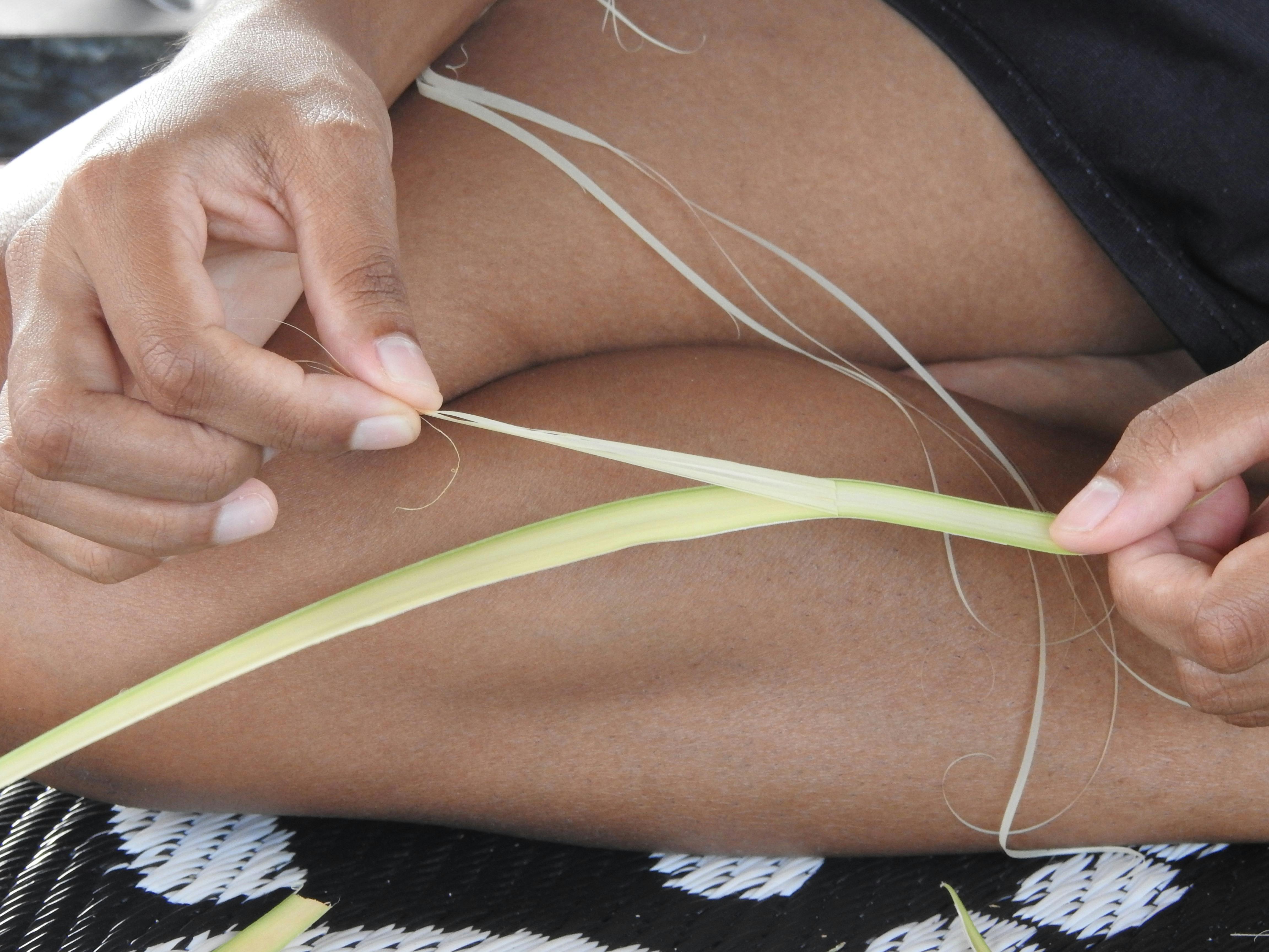 Stripping Fibre at Pudakul.