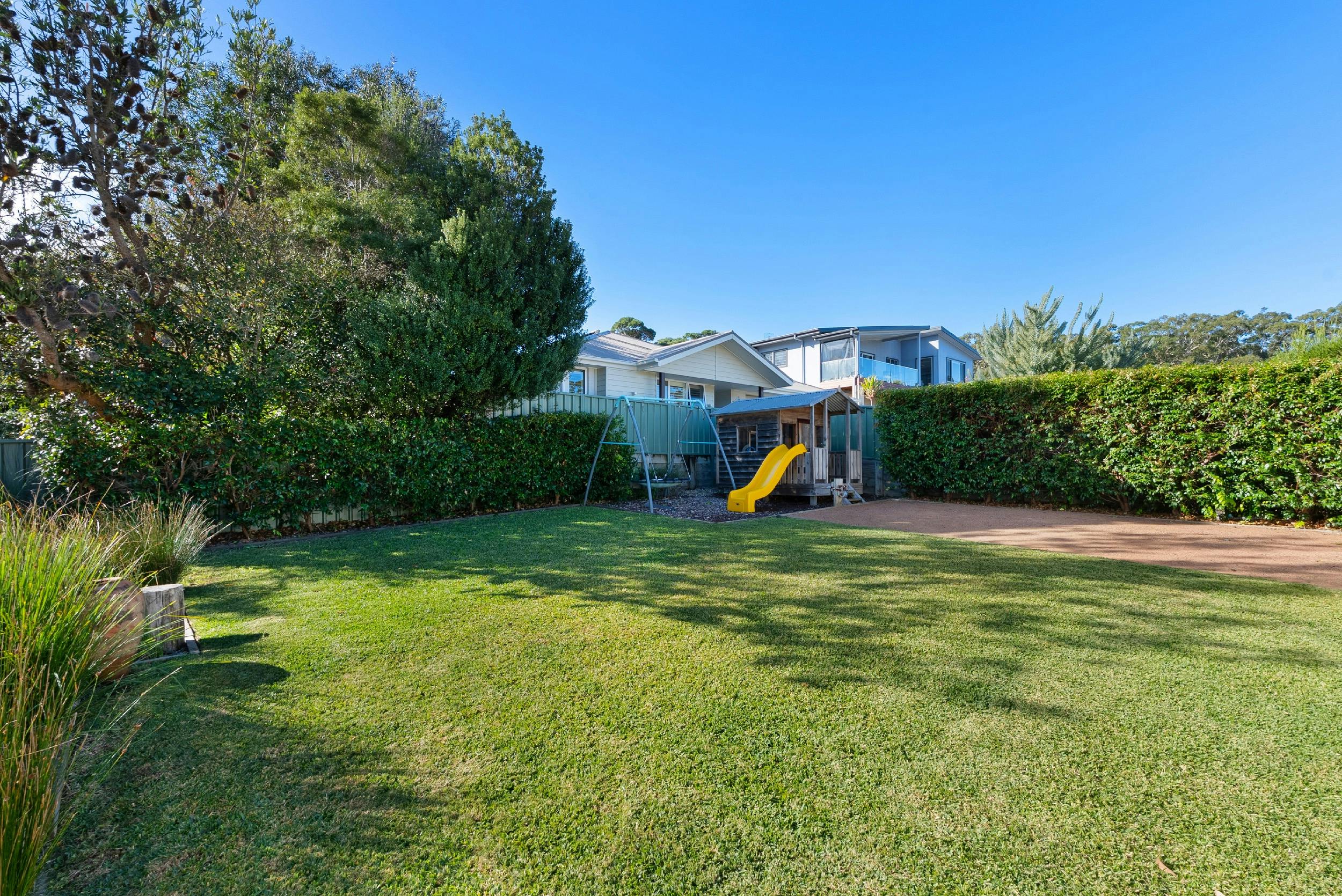 네스트 사진작가 러셀 퀸