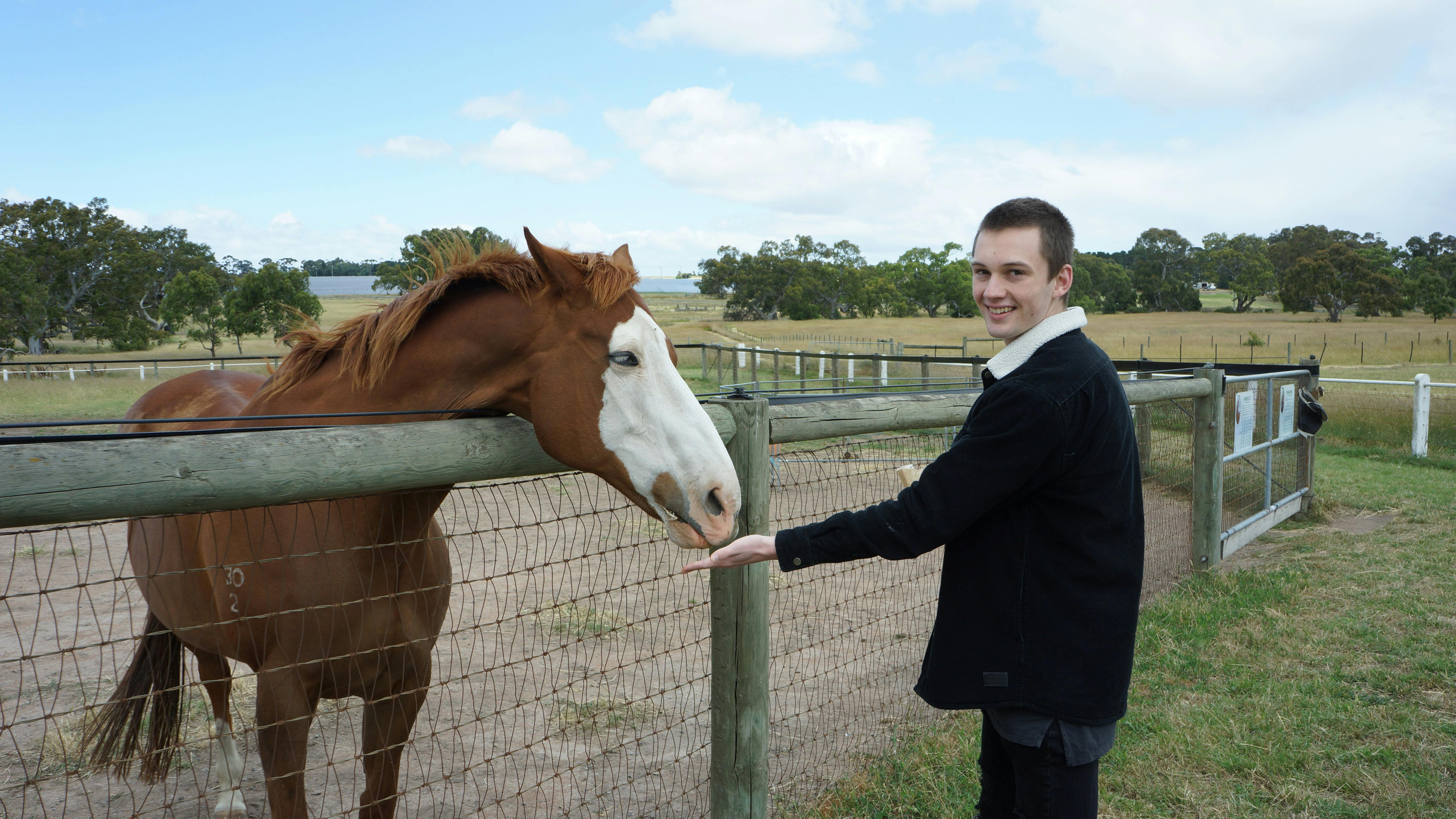 Man feeding Apache Cat, racehorse