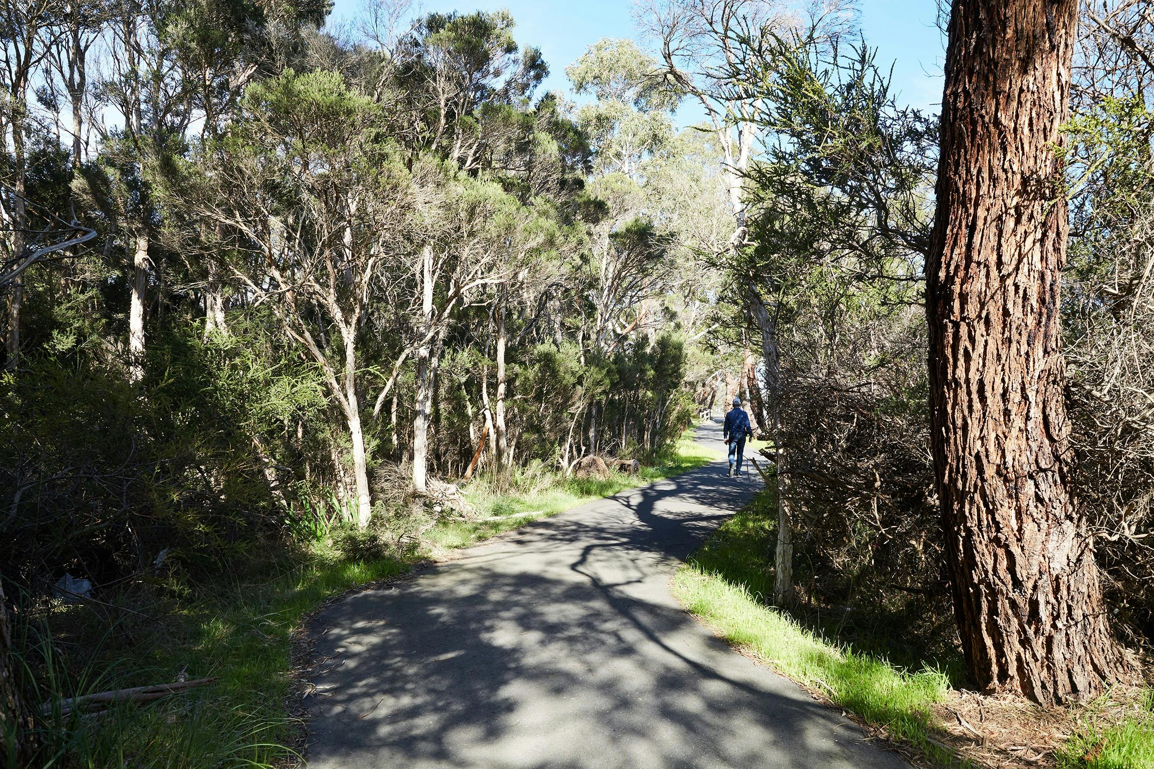 Bittern Trail (part of the Western Port Bay Trail)