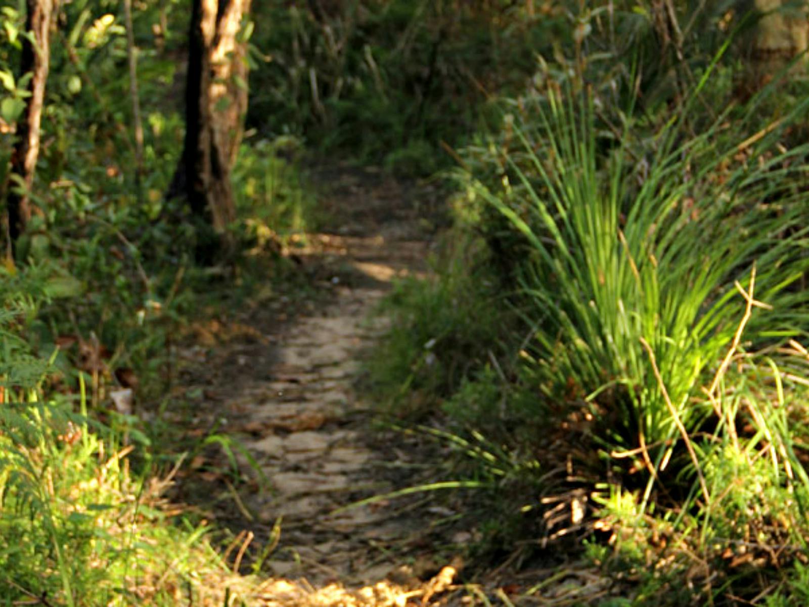 Bouddi Ridge Explorer-Radweg. Foto: John Yurasek