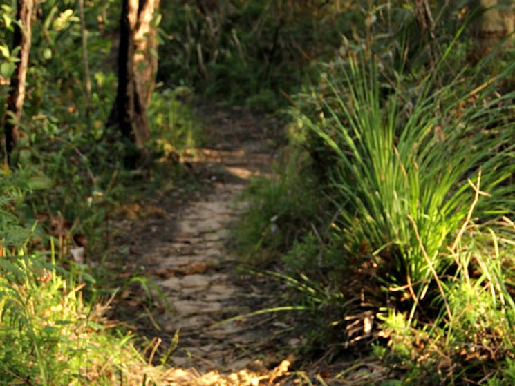 Bouddi Ridge Explorer cycling route. Photo: John Yurasek