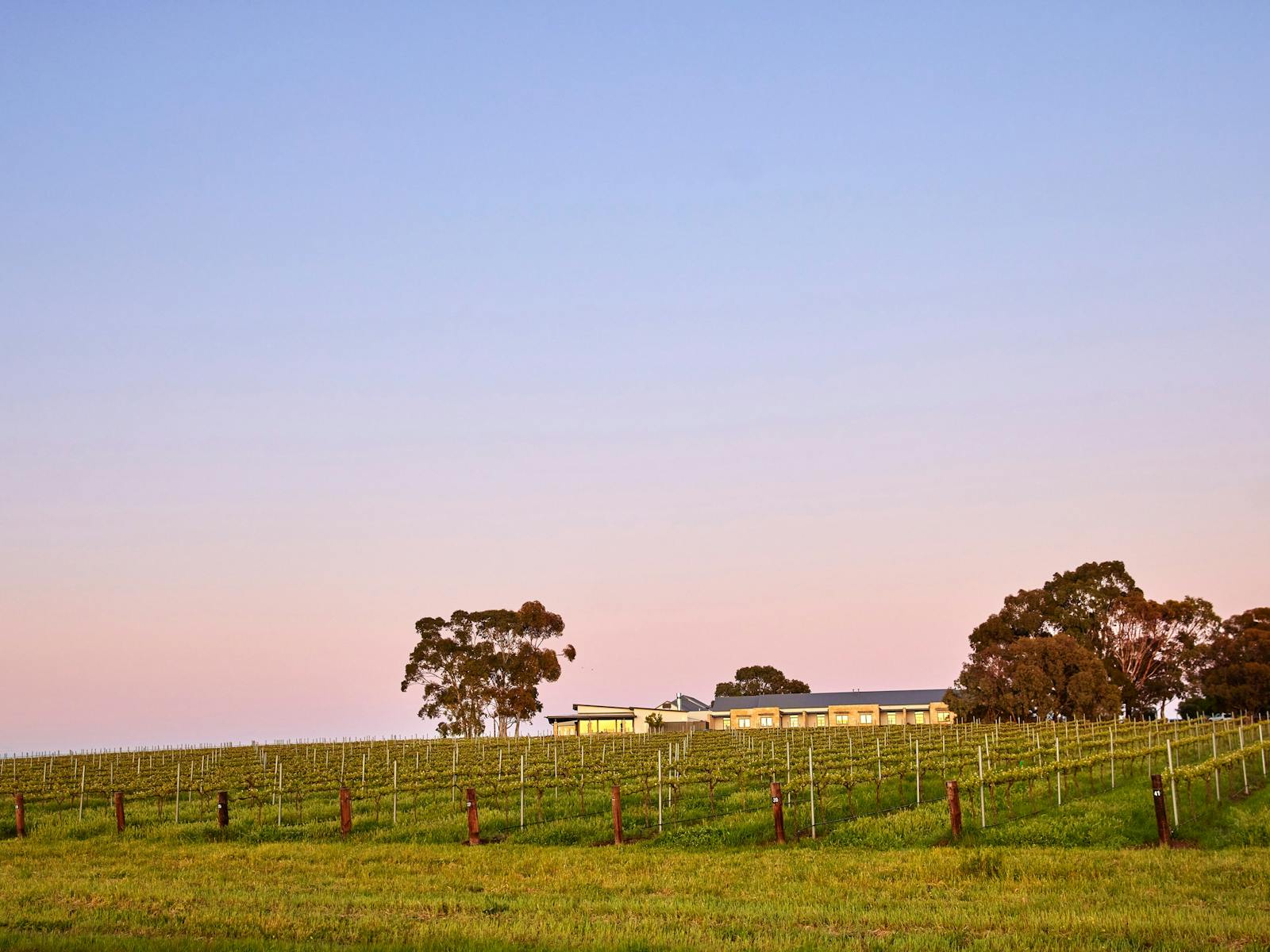Image for Slow Down in Wine Country