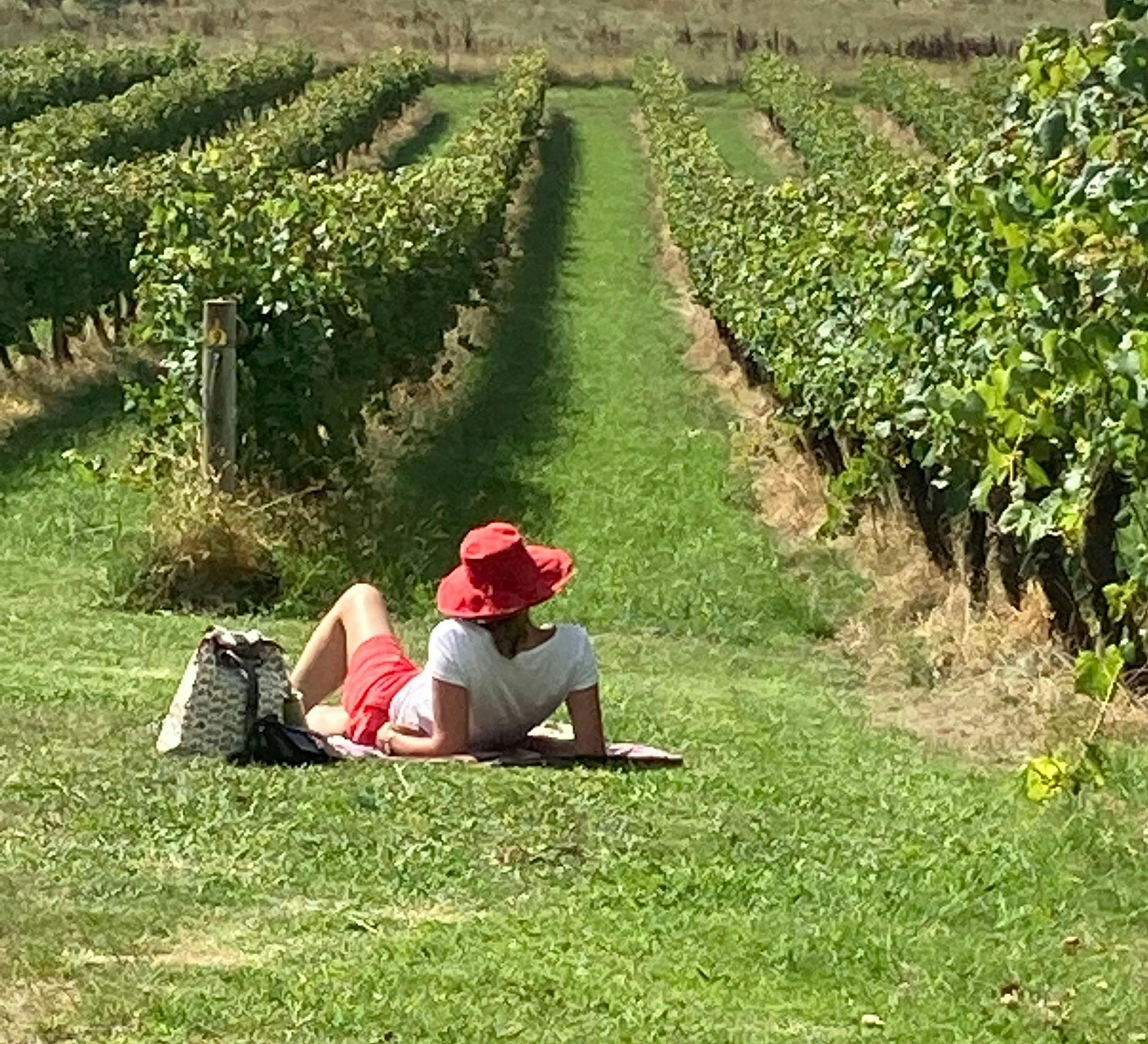 Brangayne of Orange Uncork Orange wine tours