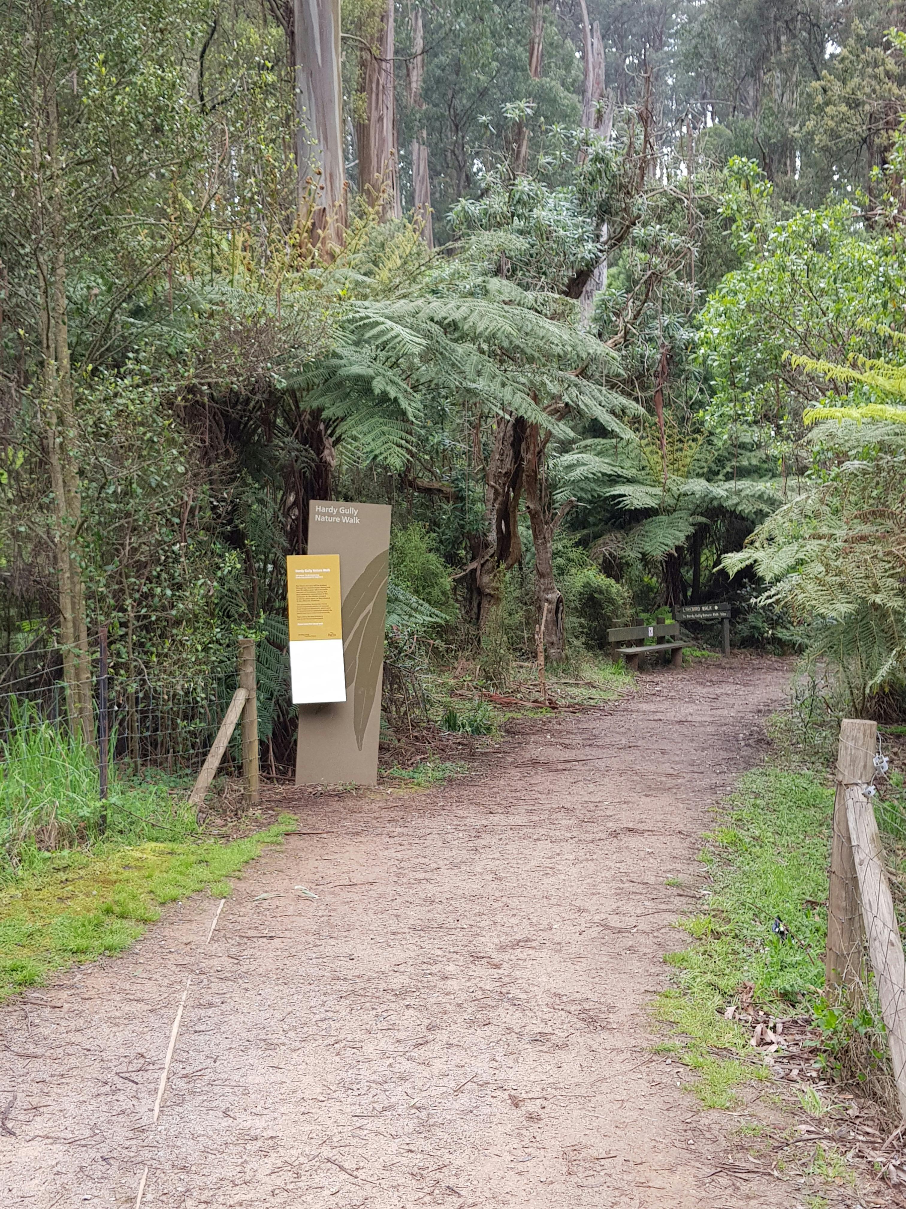 Dandenong Ranges
