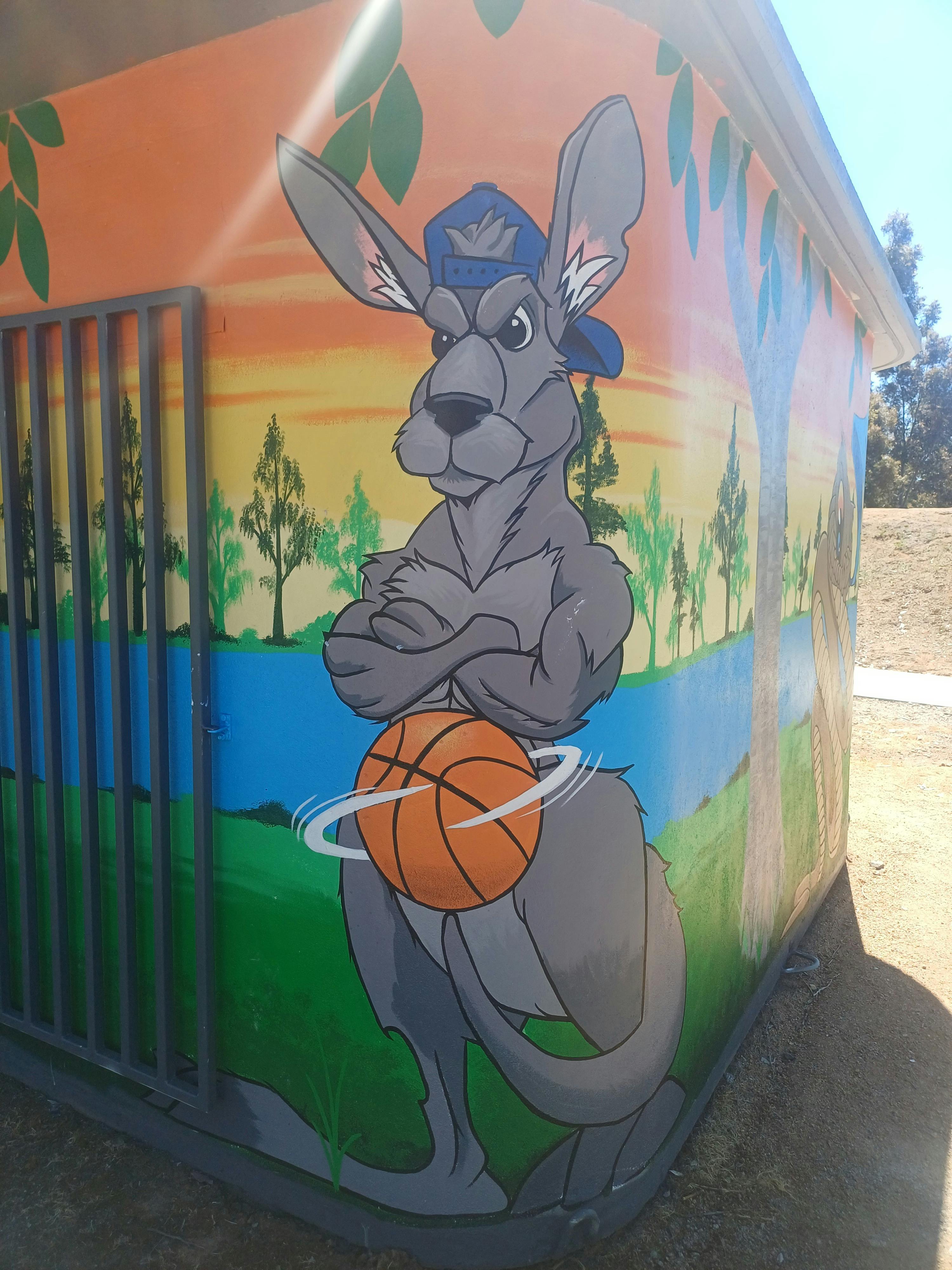 Corowa Skate Park Mural