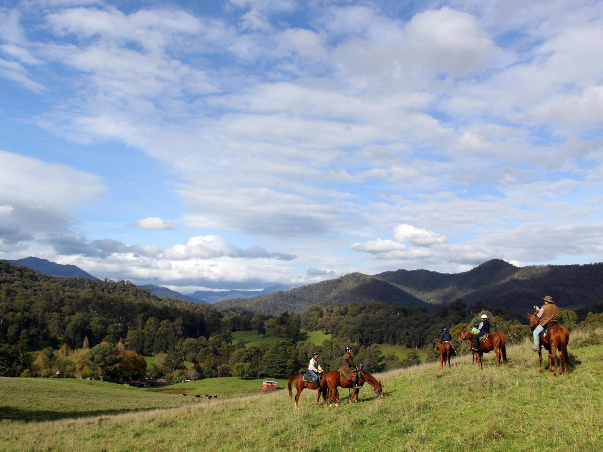 Horse riding in the historic Howqua Hills