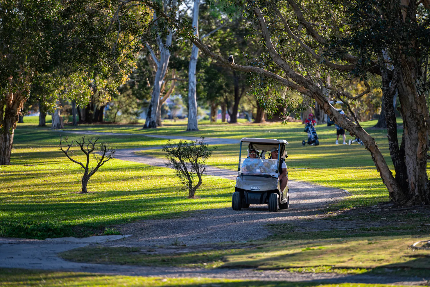 Friendly Golfers on Course