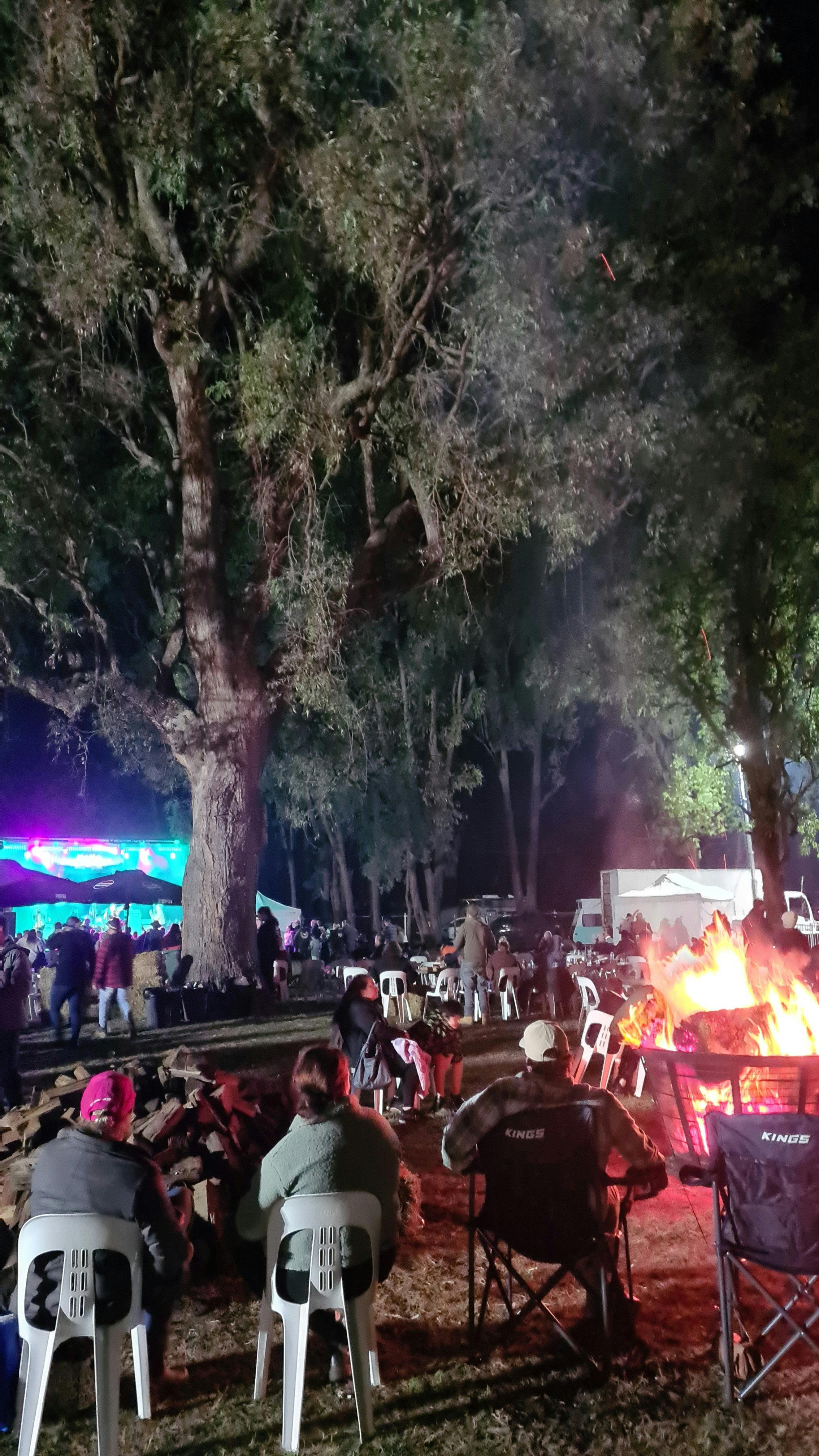 Broke BBQ Festival
