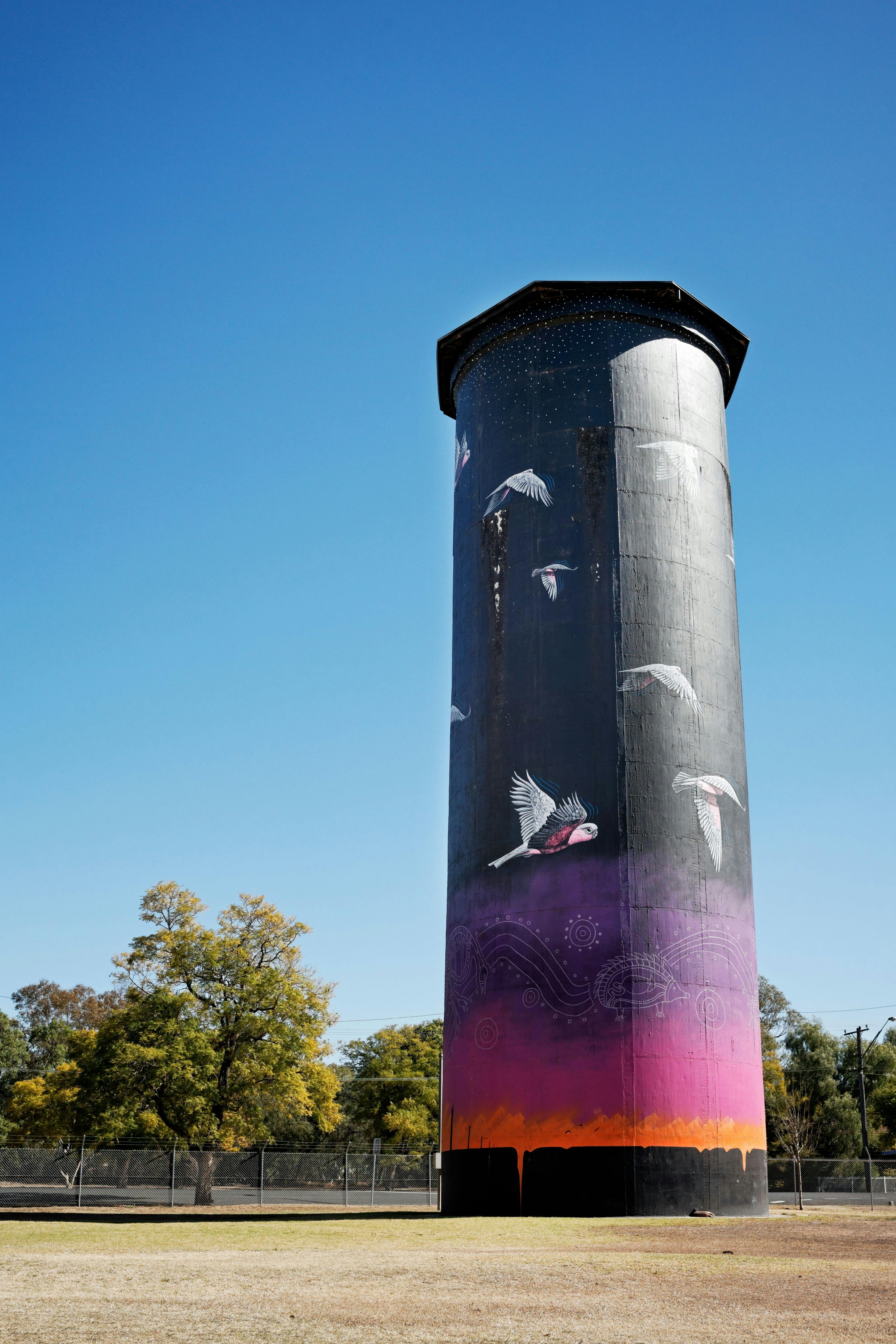 Evergreen Turf Country Championships – Coonamble