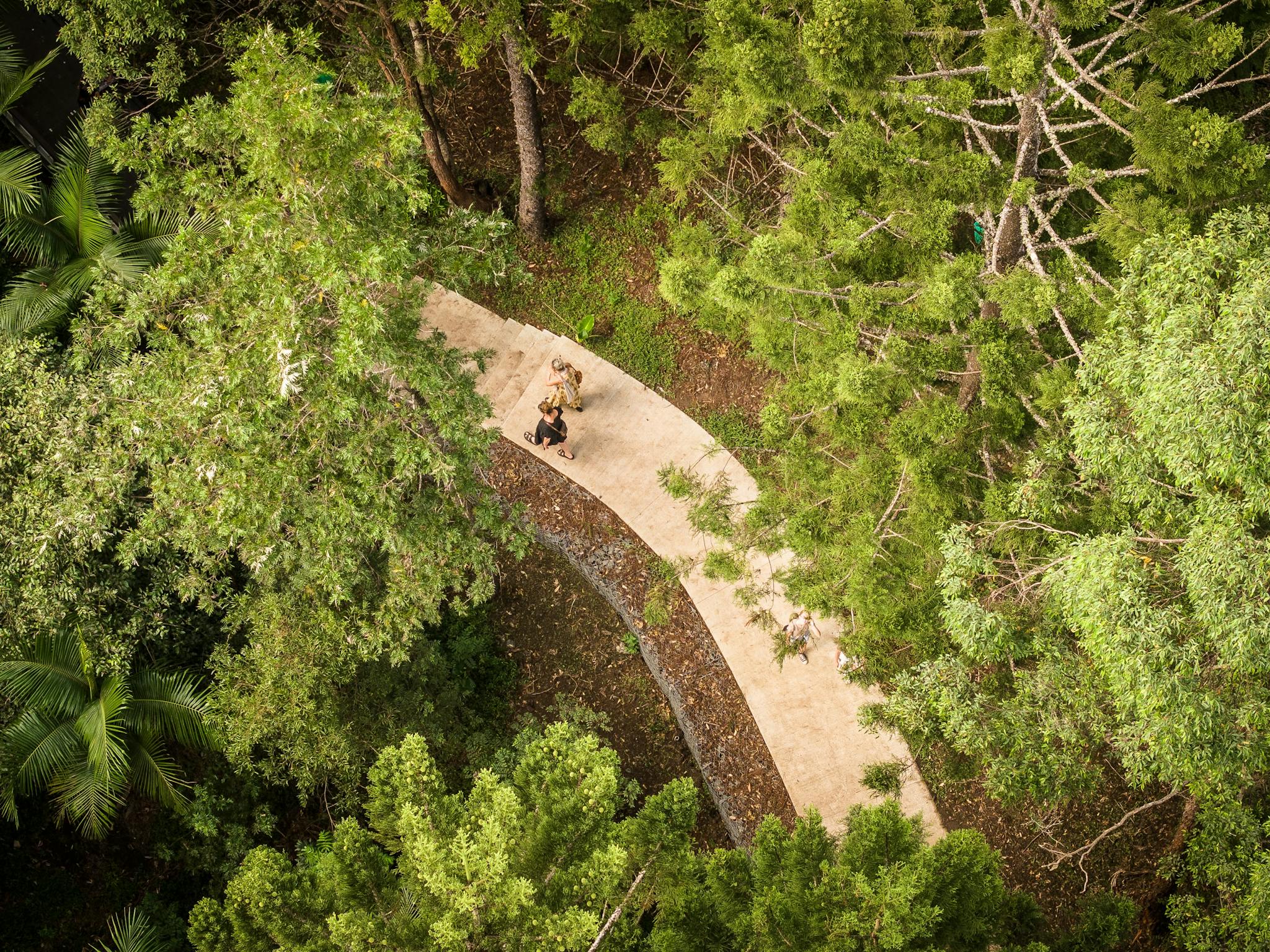 Scenic view of Nimbin Rainbow Walk