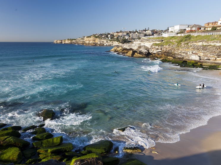 Tamarama Beach Bondi Sydney Com