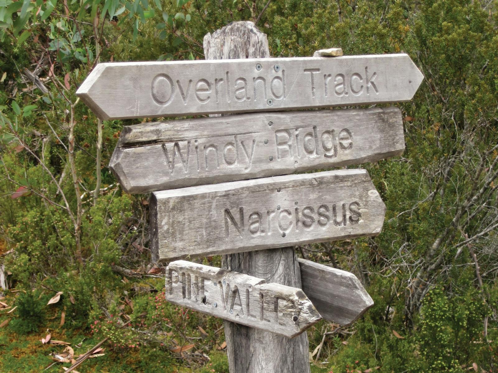 Overland Track transfers