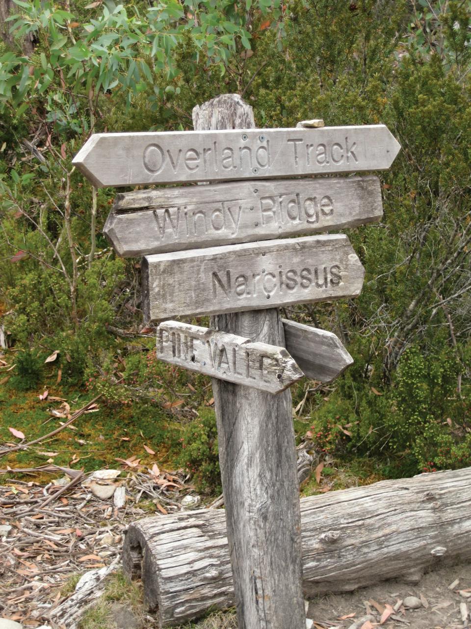Cradle Mountain Transport Services photo