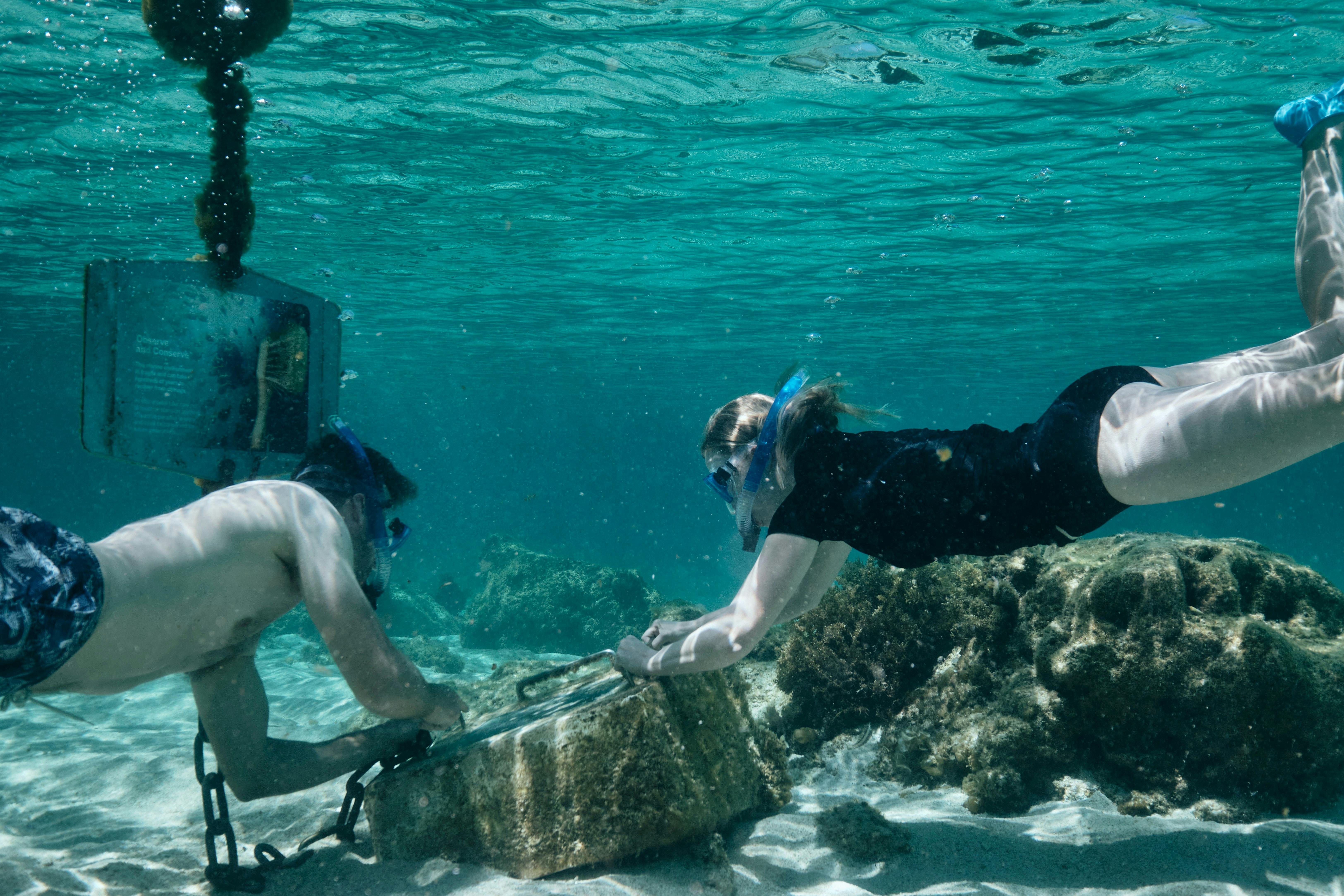 Snorkellers embarking on the Little Salmon Bay Marine Snorkel Trail