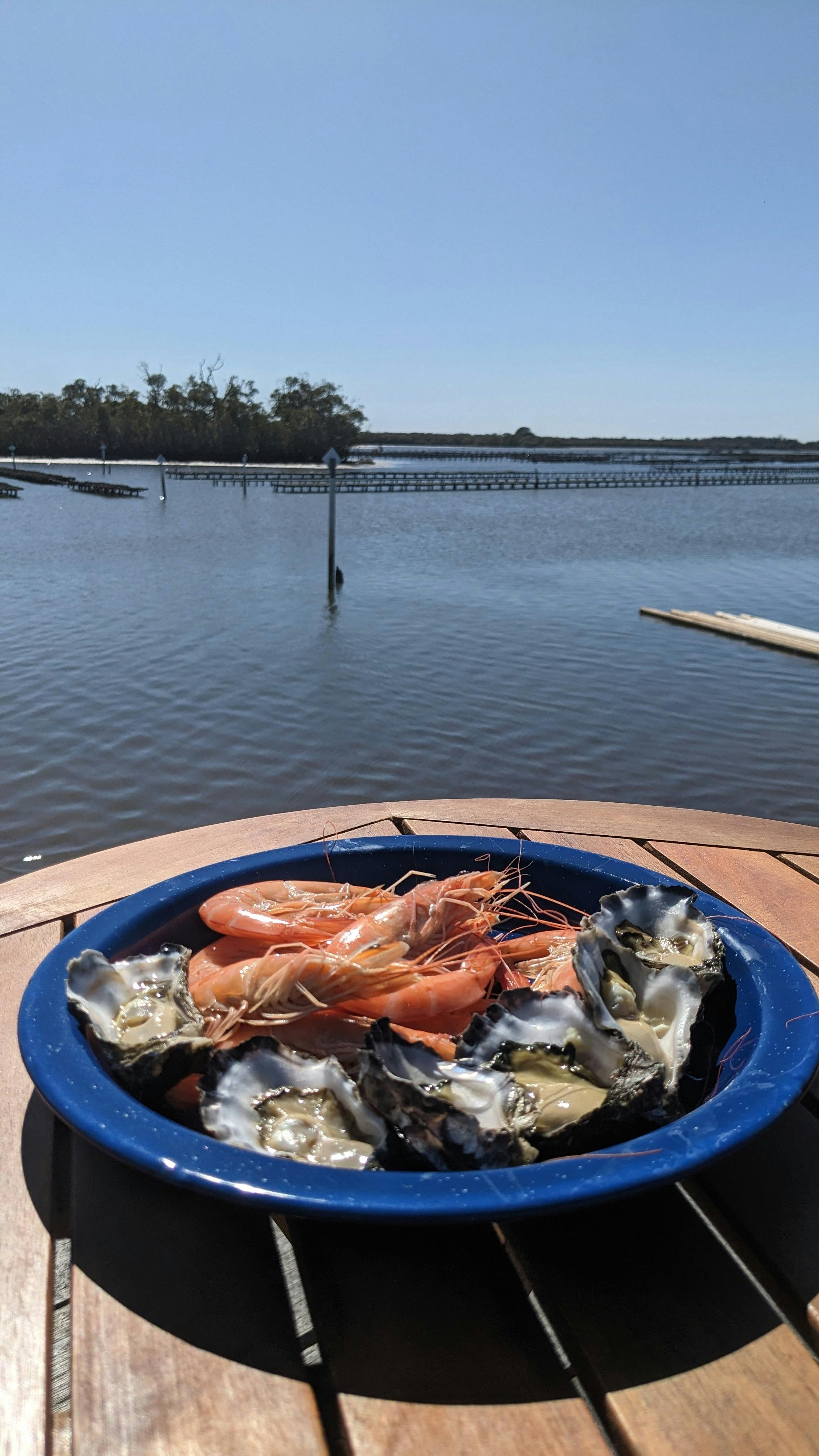 Brighton Oysters
