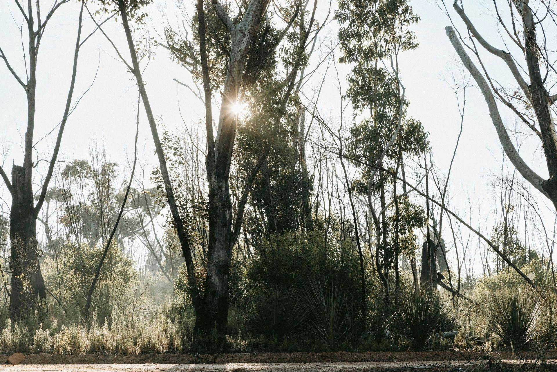 Kangaroo Island – Flinders Chase, Nature & Wildlife Day Tour