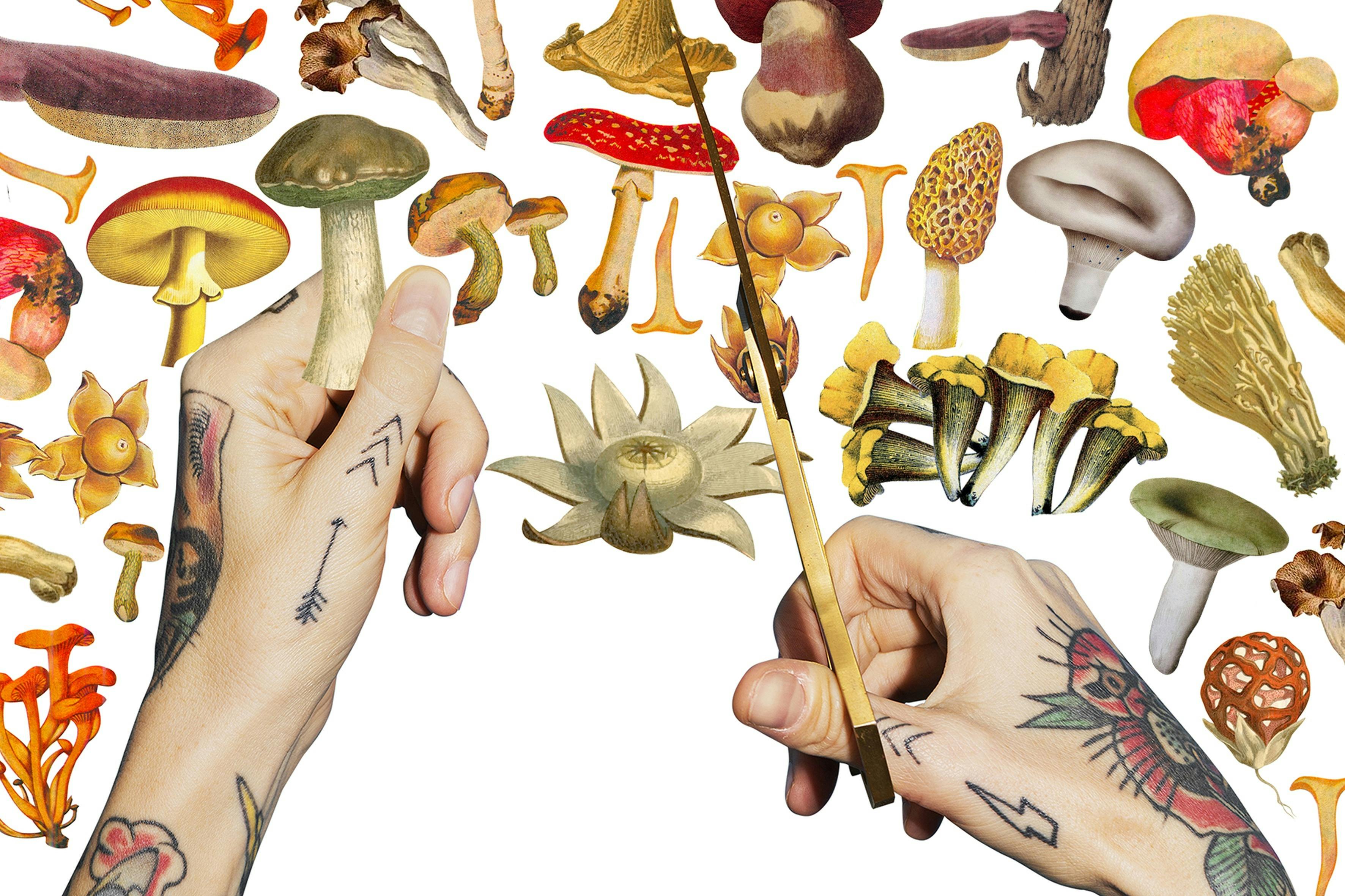 Making collage