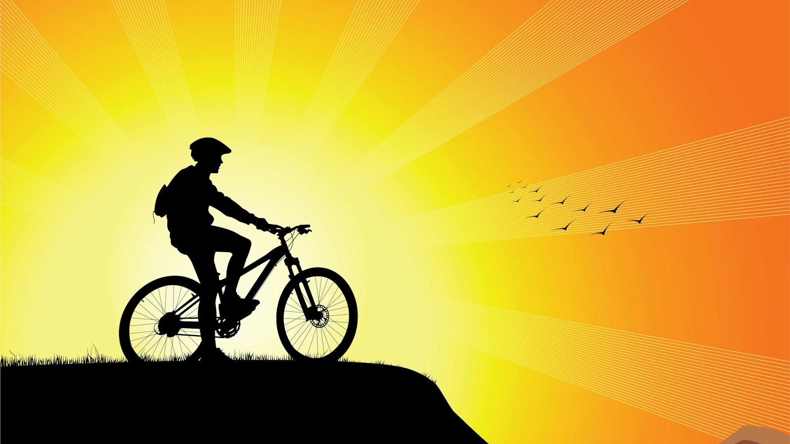 Action Outdoor Hire - Bike Hire