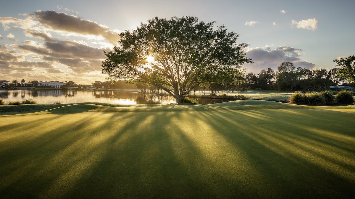 Hope Island Golf Course, Hole 17, Signature Hole 150 year old Fig sunrise Links Golf and Wellbeing