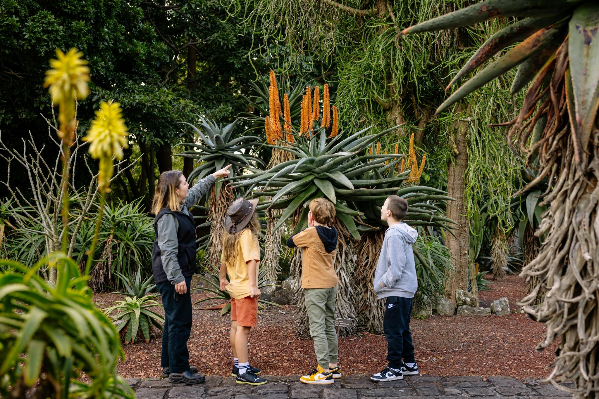 Wicked and Weird Plants: Carnivorous Workshop at Sydney