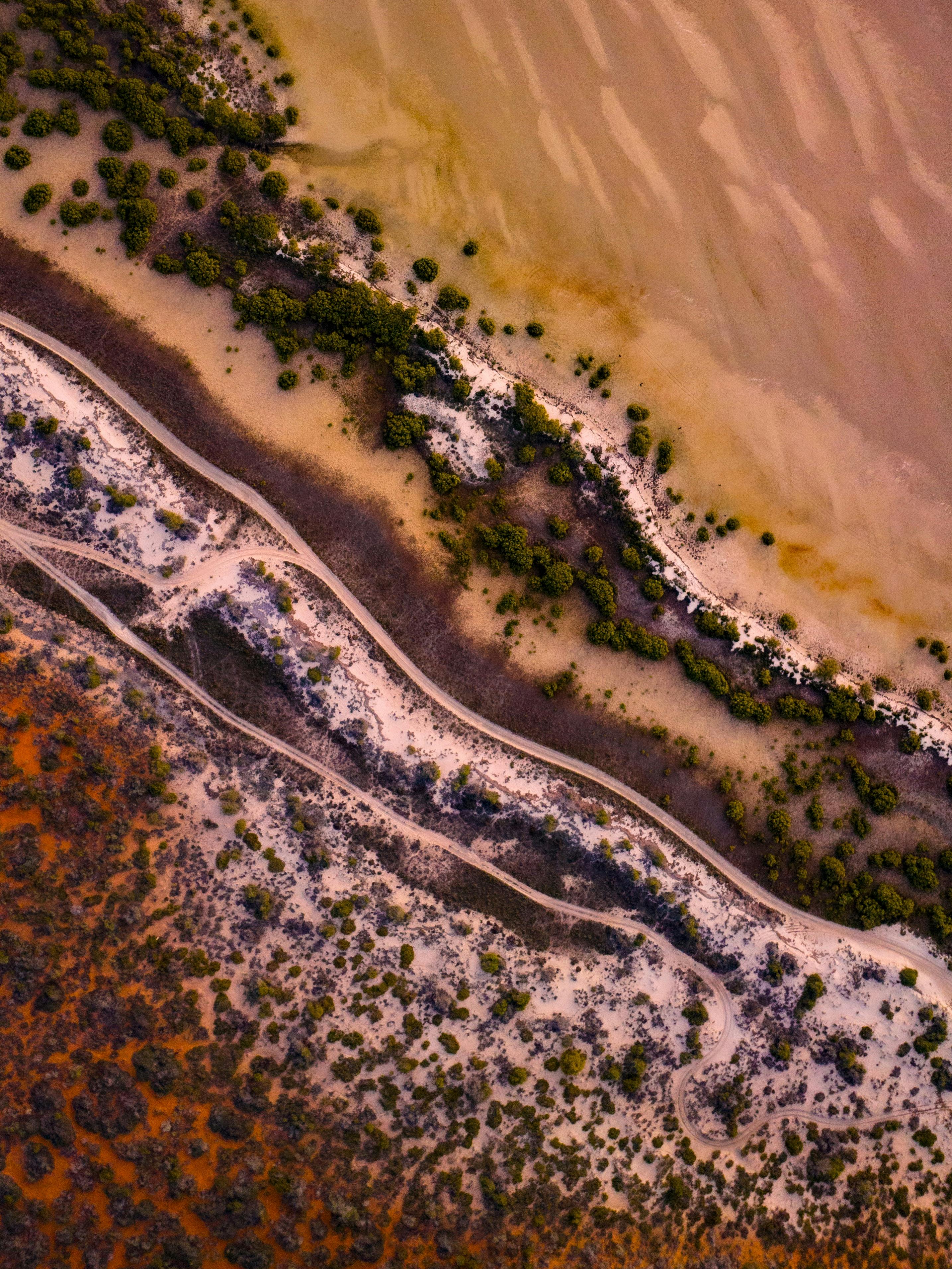 Contrasting colors of Shark Bay captured from above