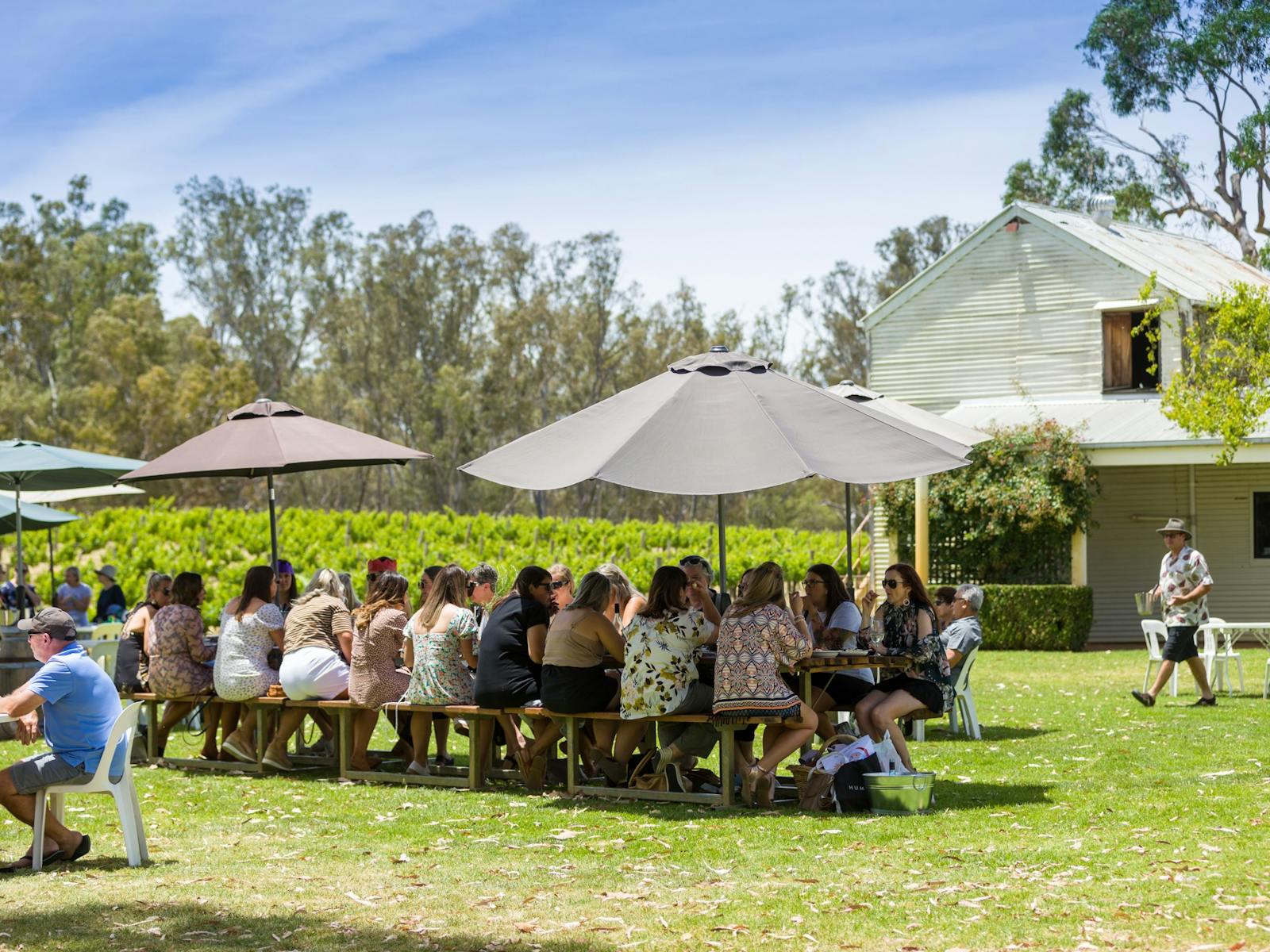 Groups at St Leonards Vineyard