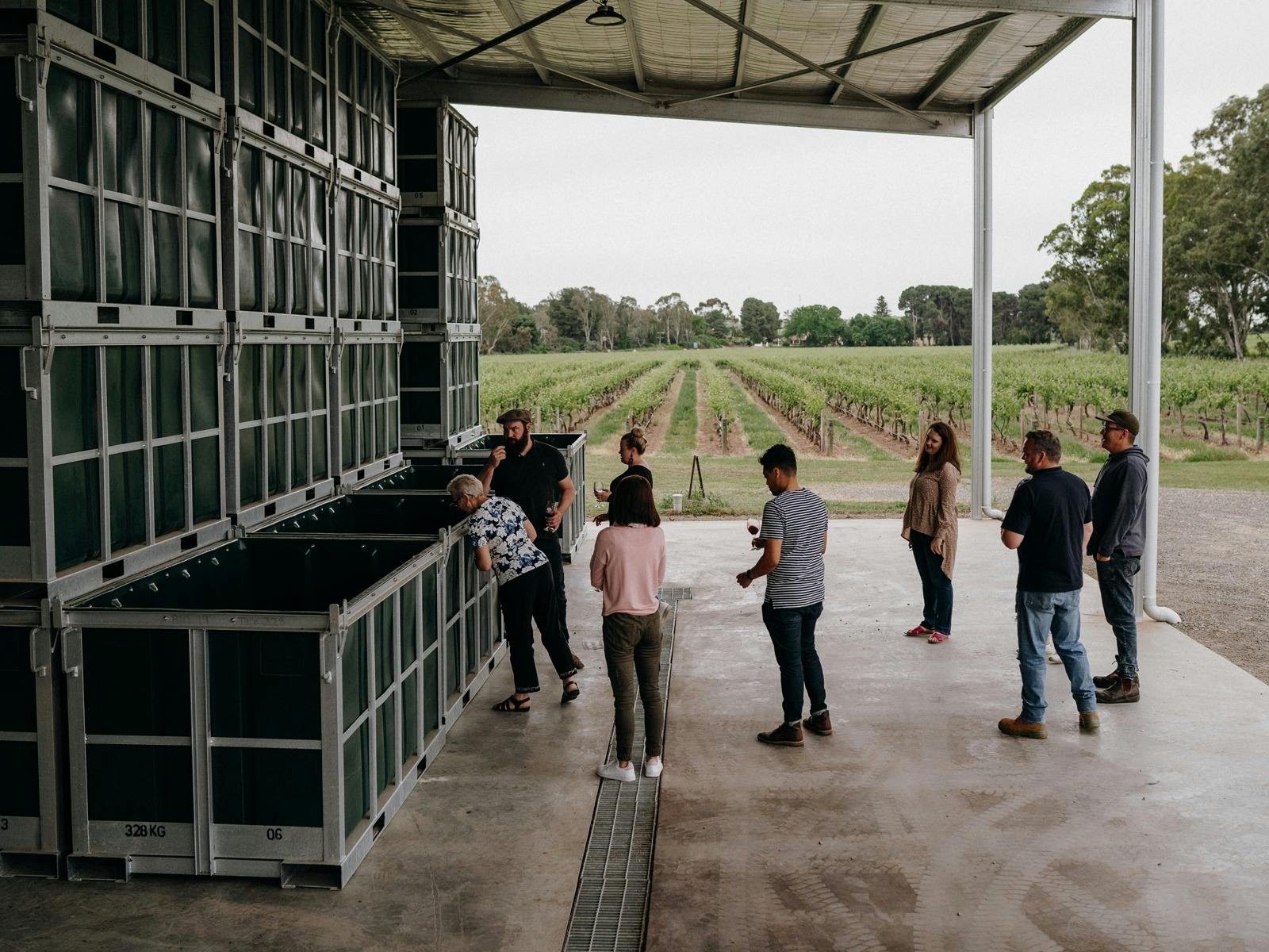 Barossa Valley Winery Tour - Kies Family Wines