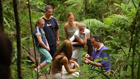 Daintree Discovery Centre