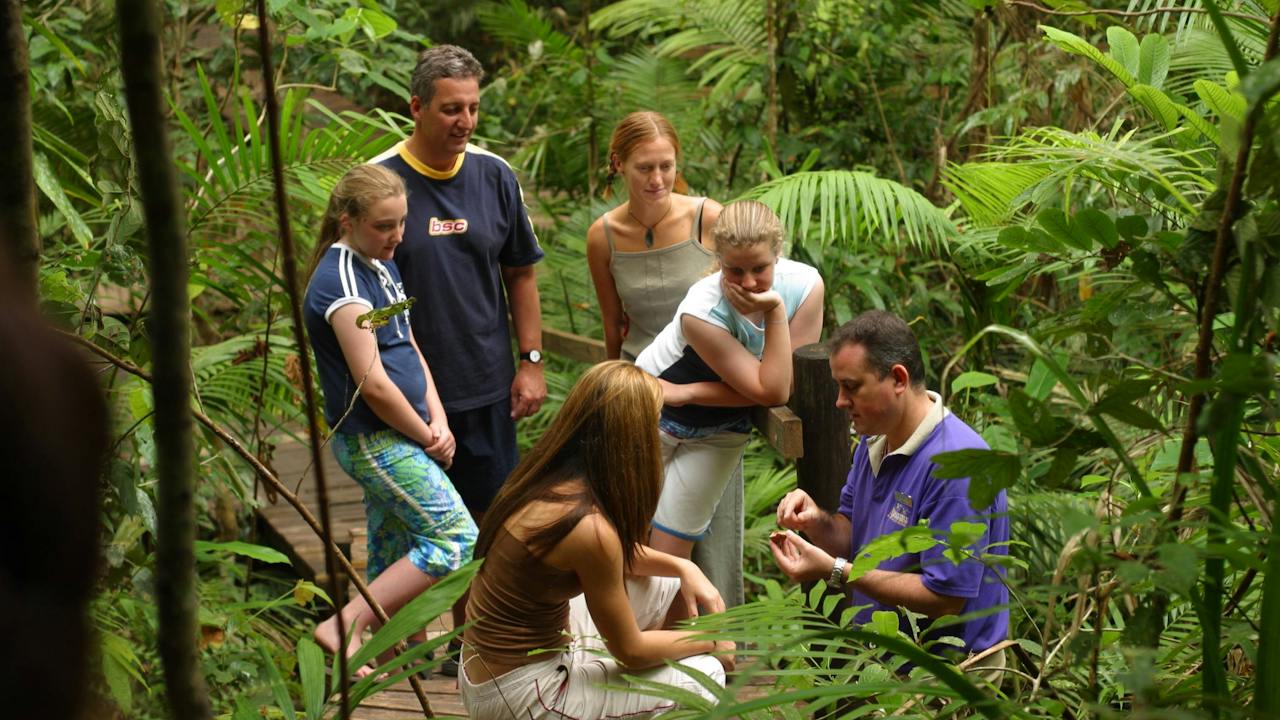 Daintree Discovery Centre