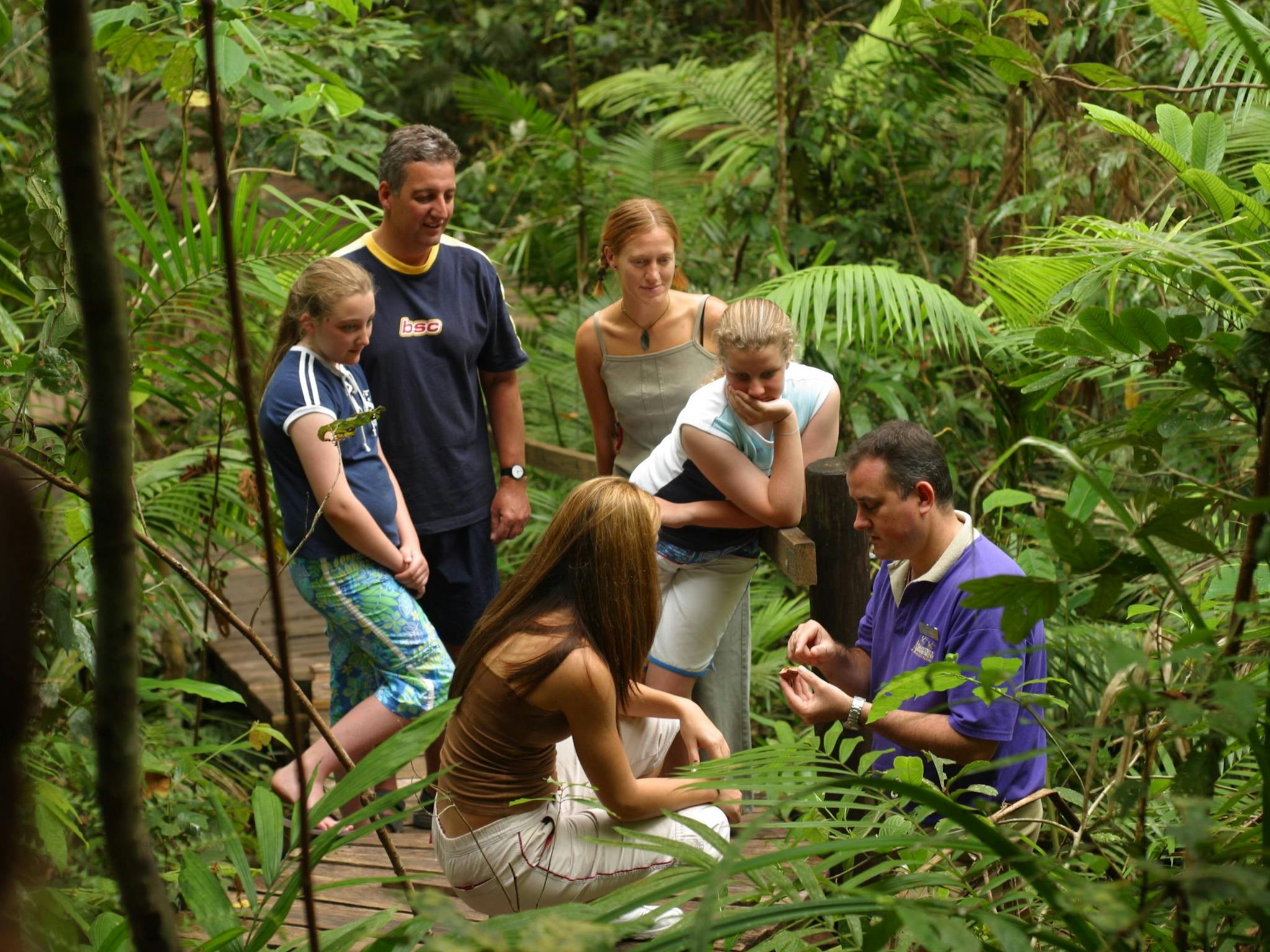 Daintree Discovery Centre Daintree Discovery Centre