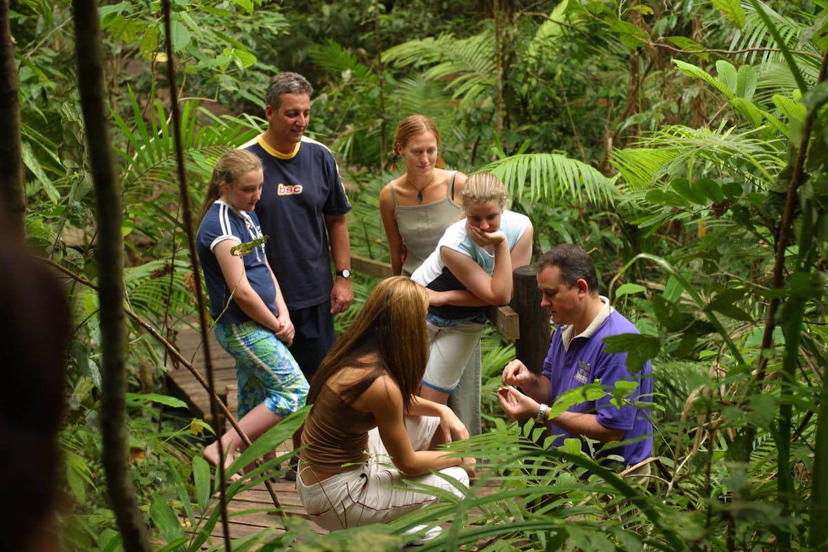 Daintree Discovery Centre