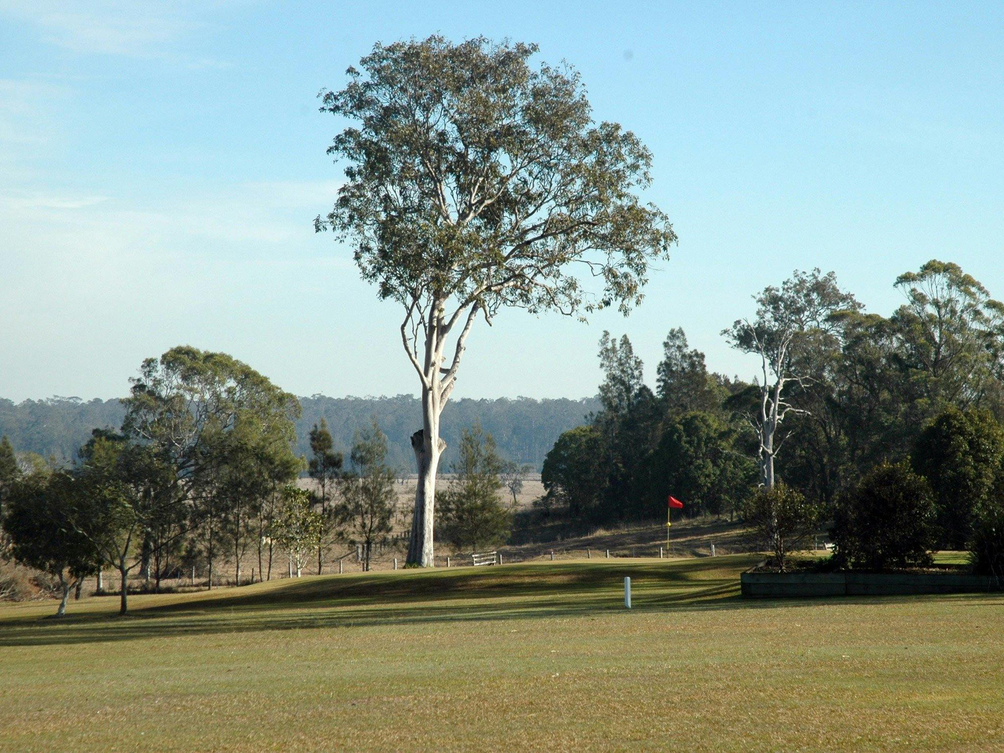 Lawrence Golf Club NSW Holidays & Things to Do