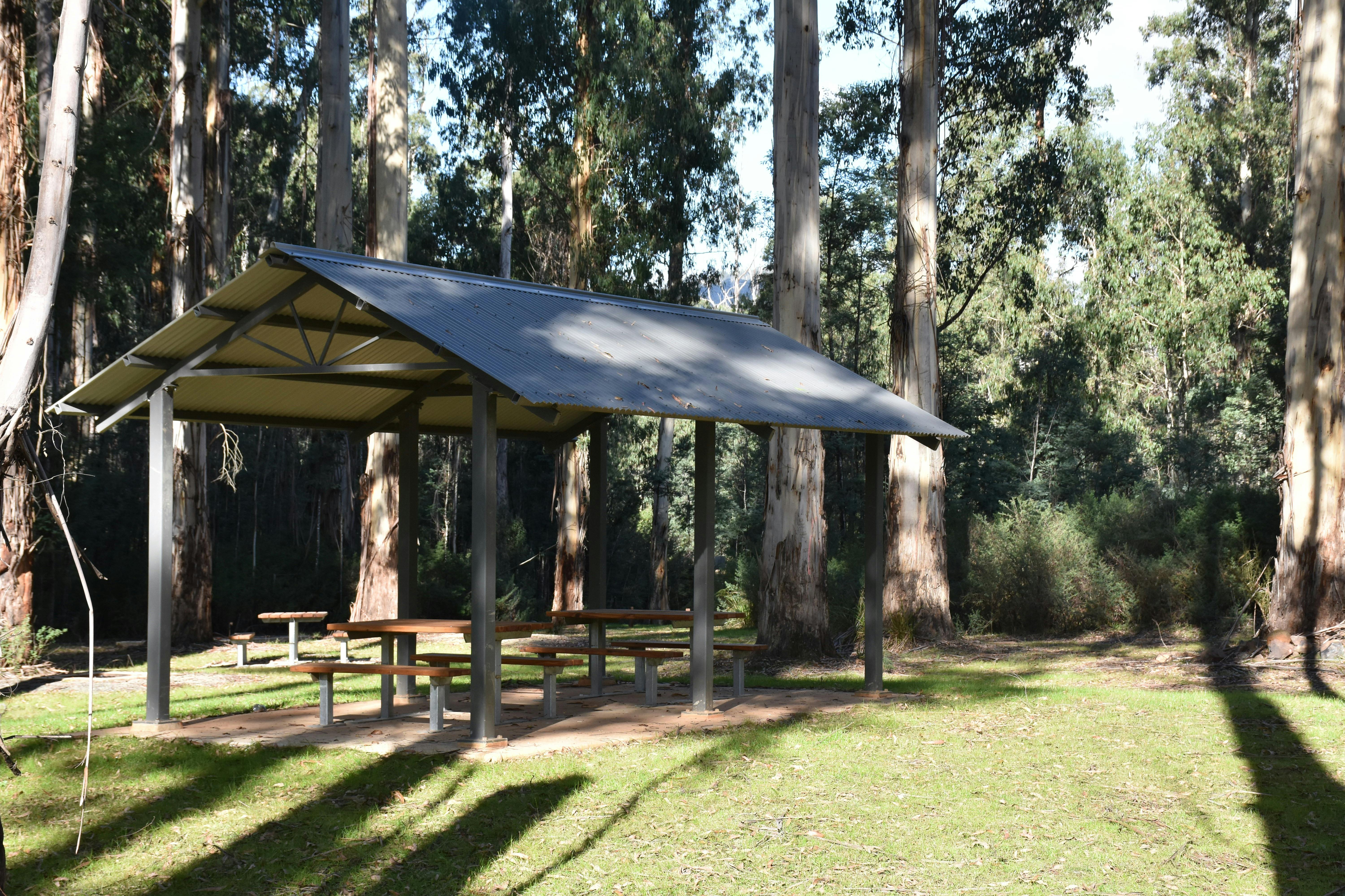 Picnic shelter surrounded by forest